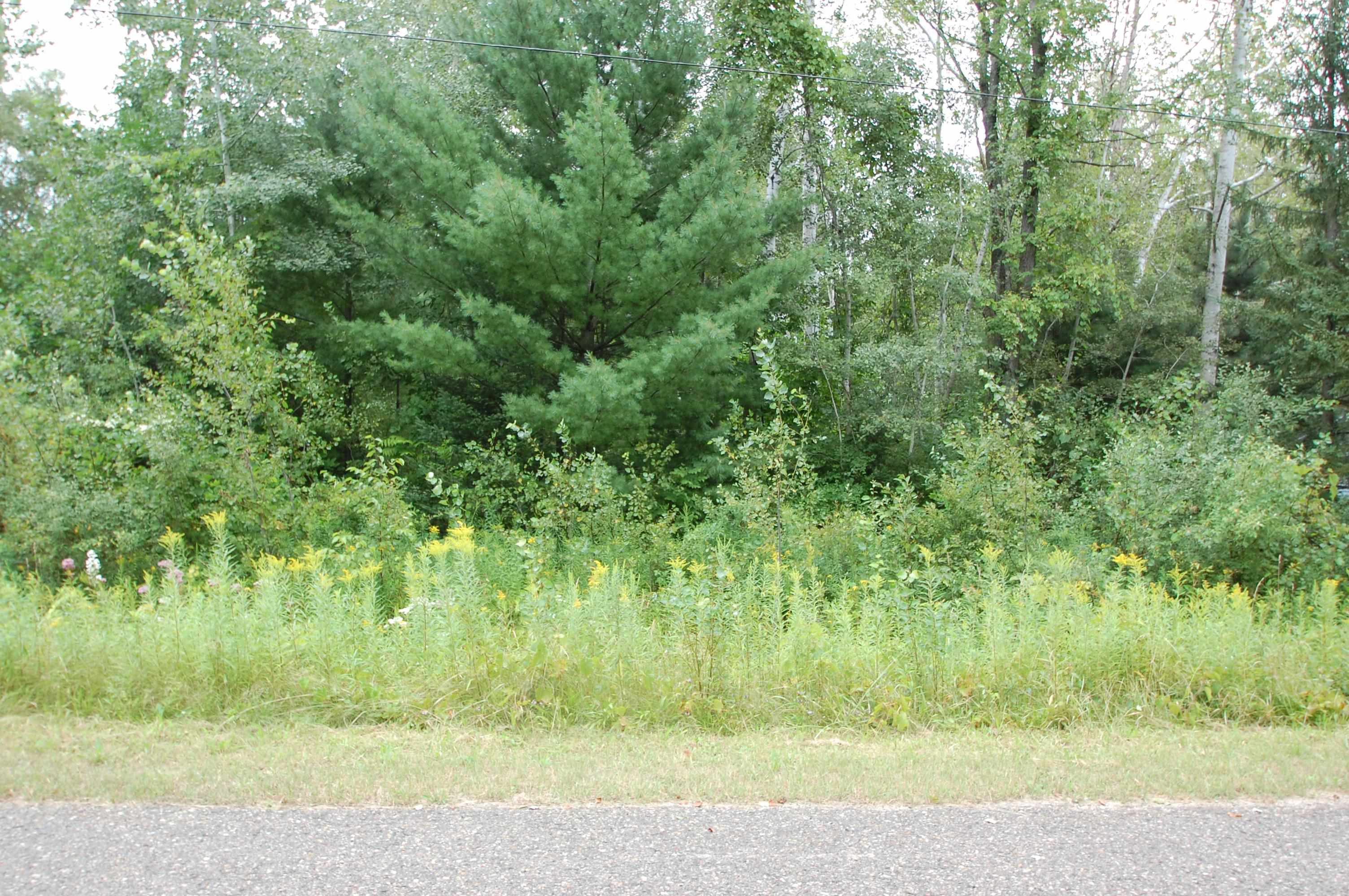 0 Crawford Street West Branch Township MI 48661
