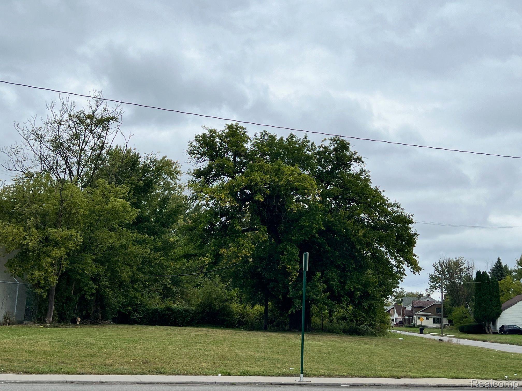 12947 E Mcnichols Road Detroit City MI 48205