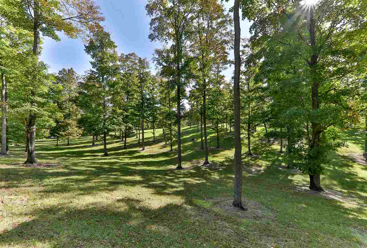 0 Timberlee Drive Elmwood Charter Township MI 49684