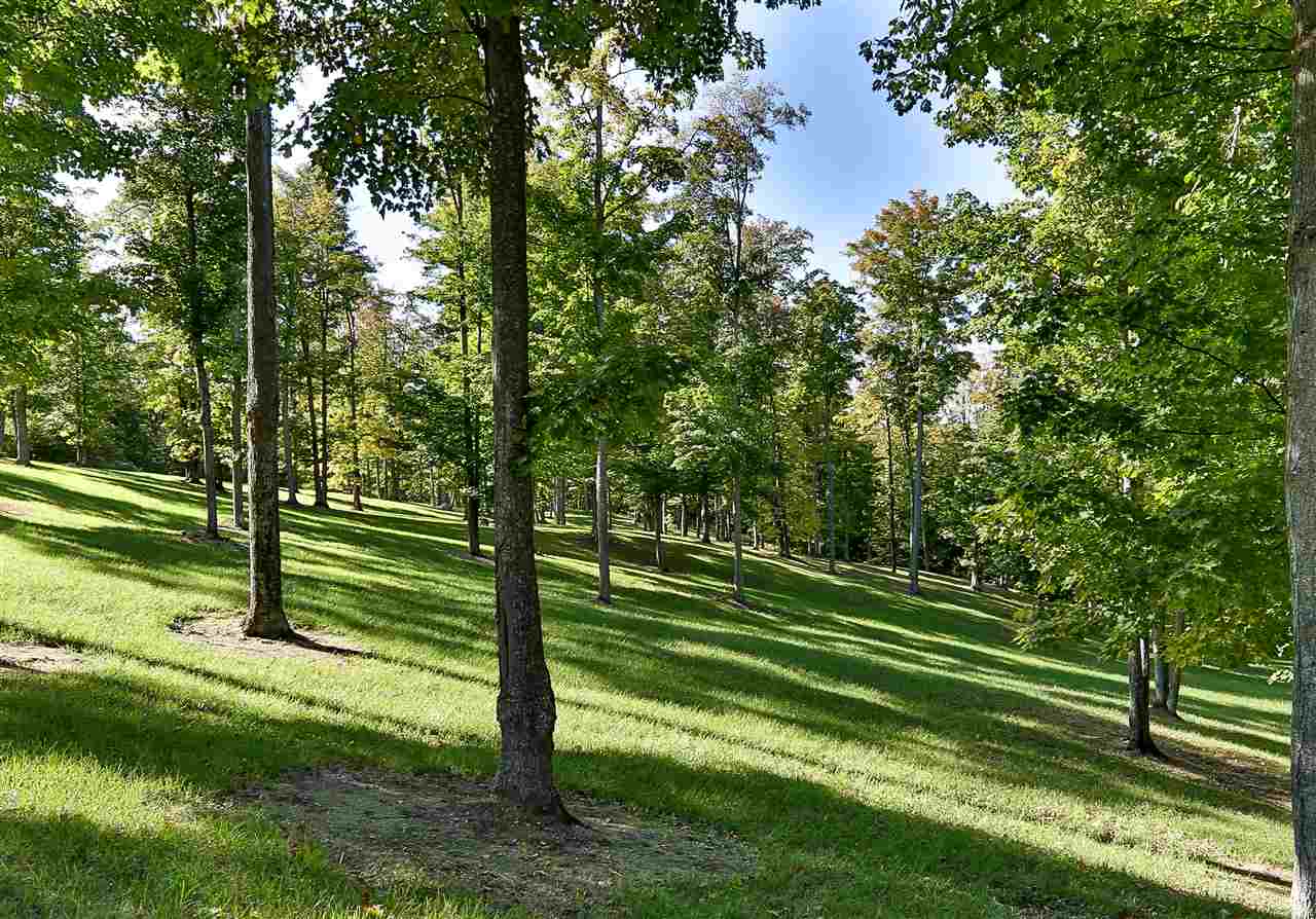 0 Timberlee Drive Elmwood Charter Township MI 49684