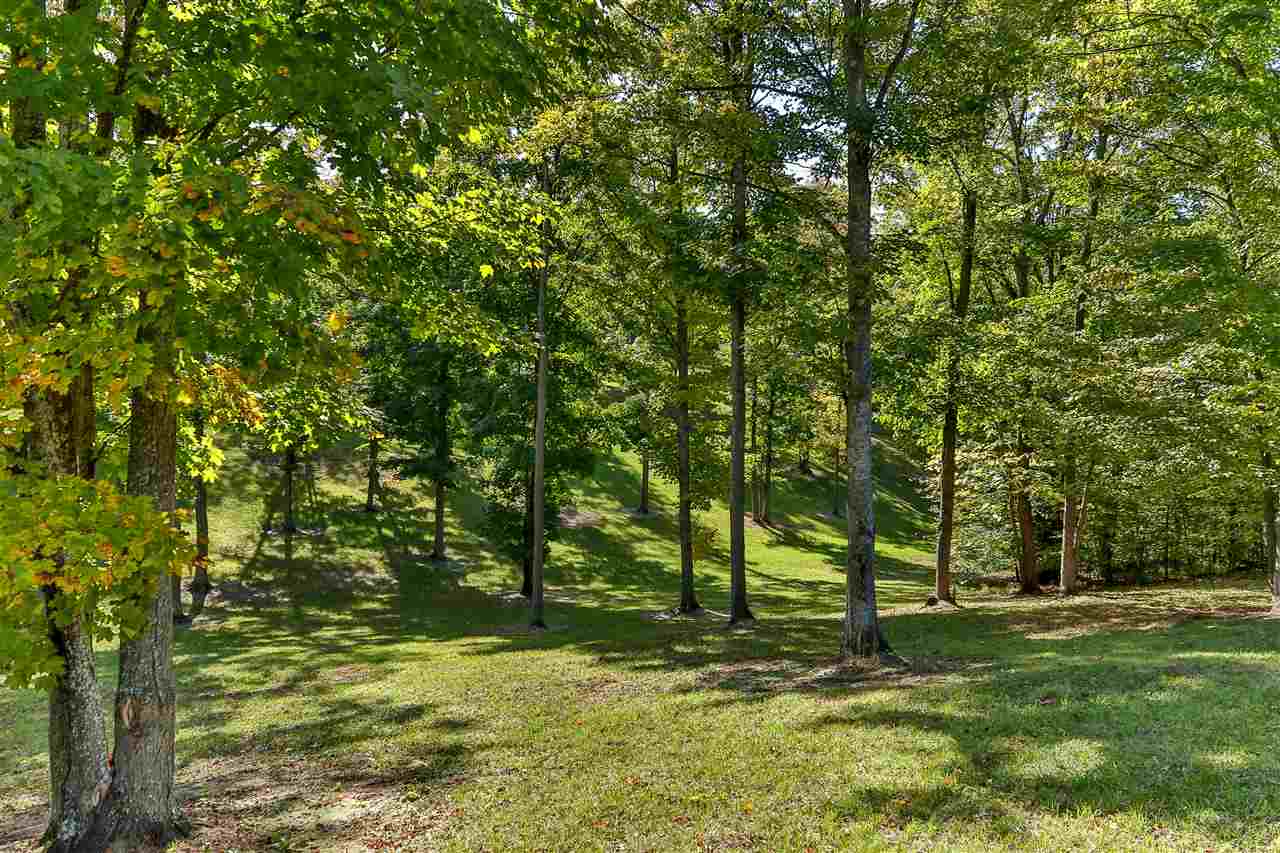 0 Timberlee Drive Elmwood Charter Township MI 49684