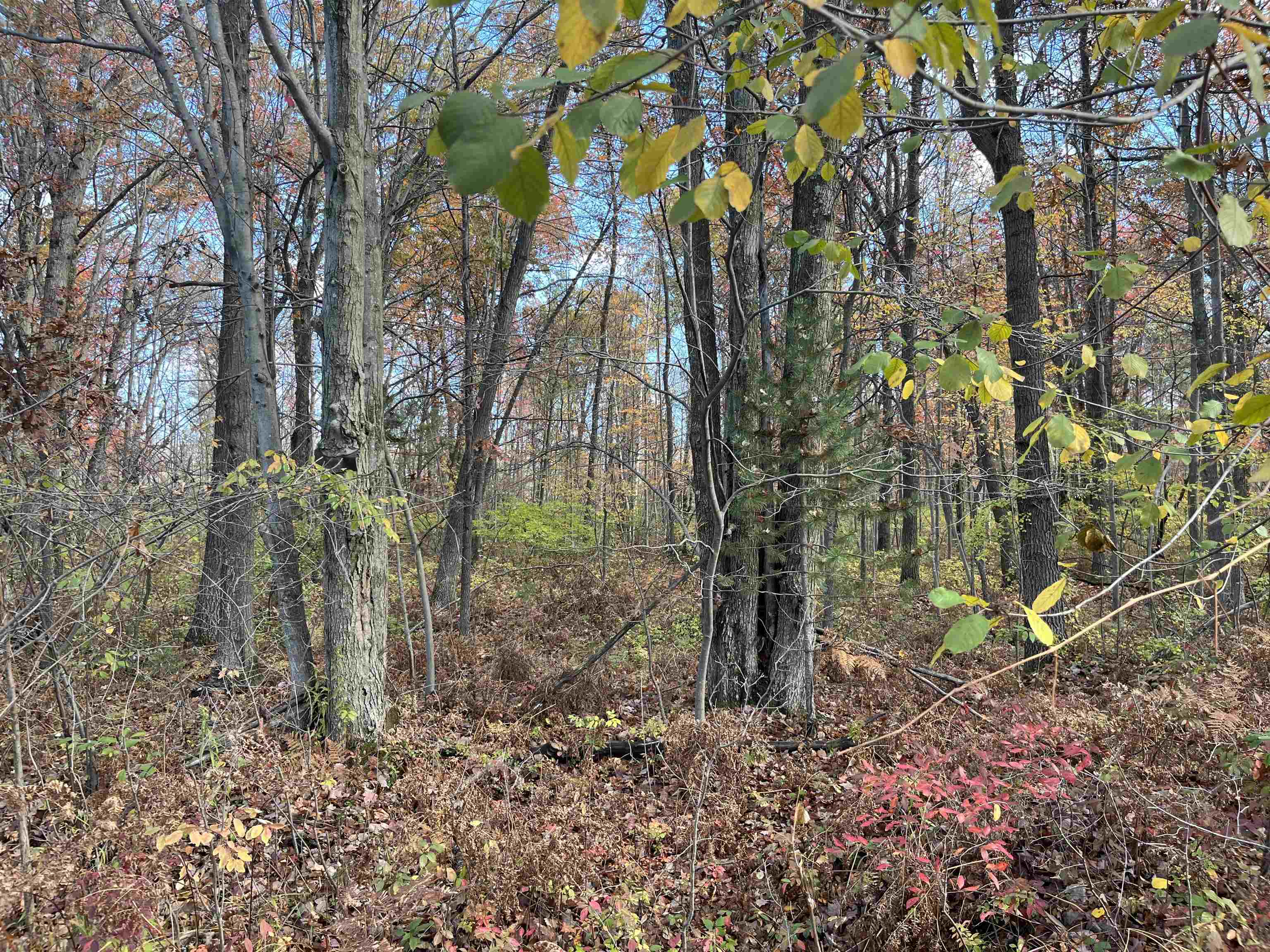 Nka Husak Road Deep River Township MI 48749