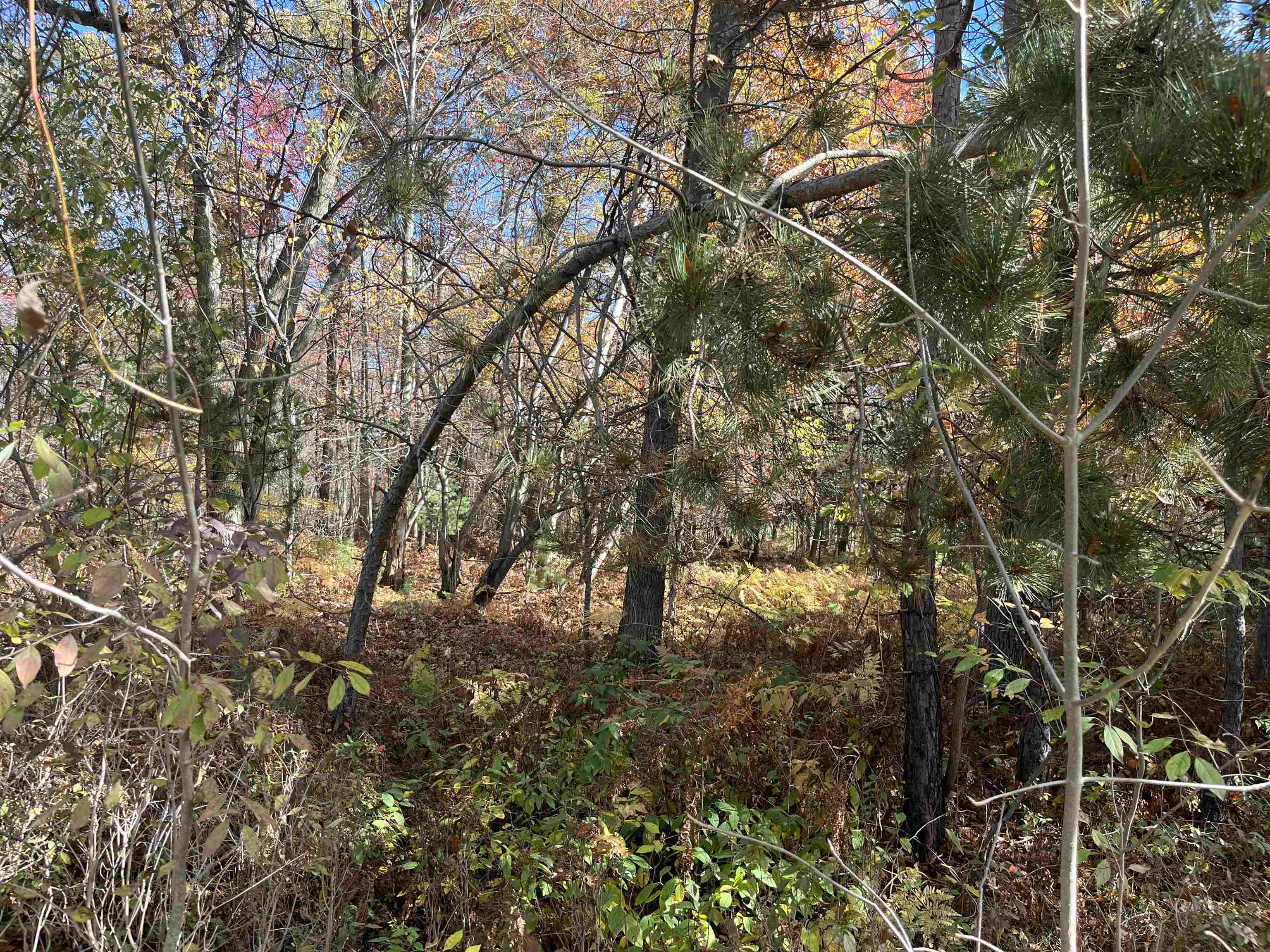 Nka Husak Road Deep River Township MI 48749