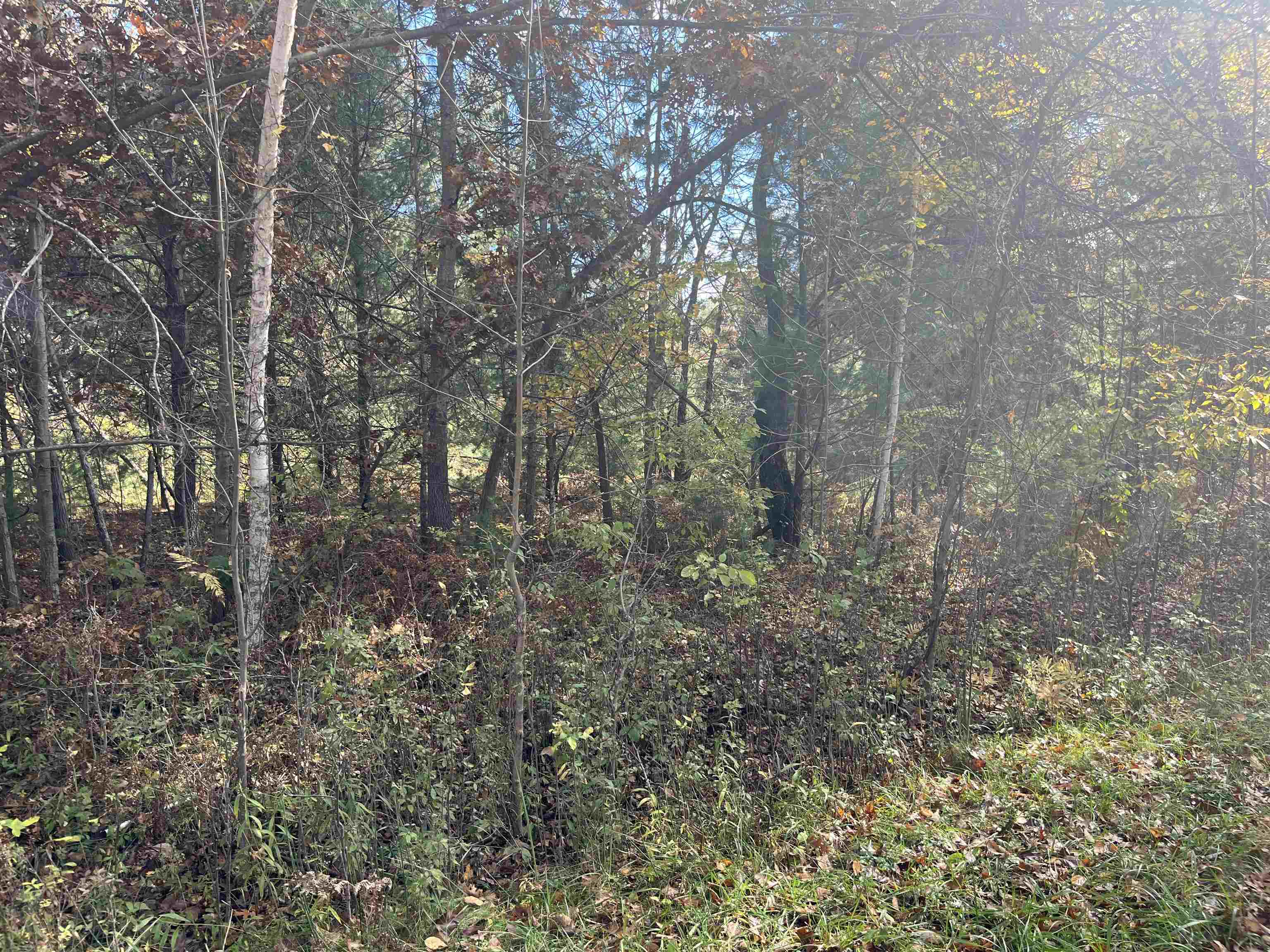Nka Husak Road Deep River Township MI 48749