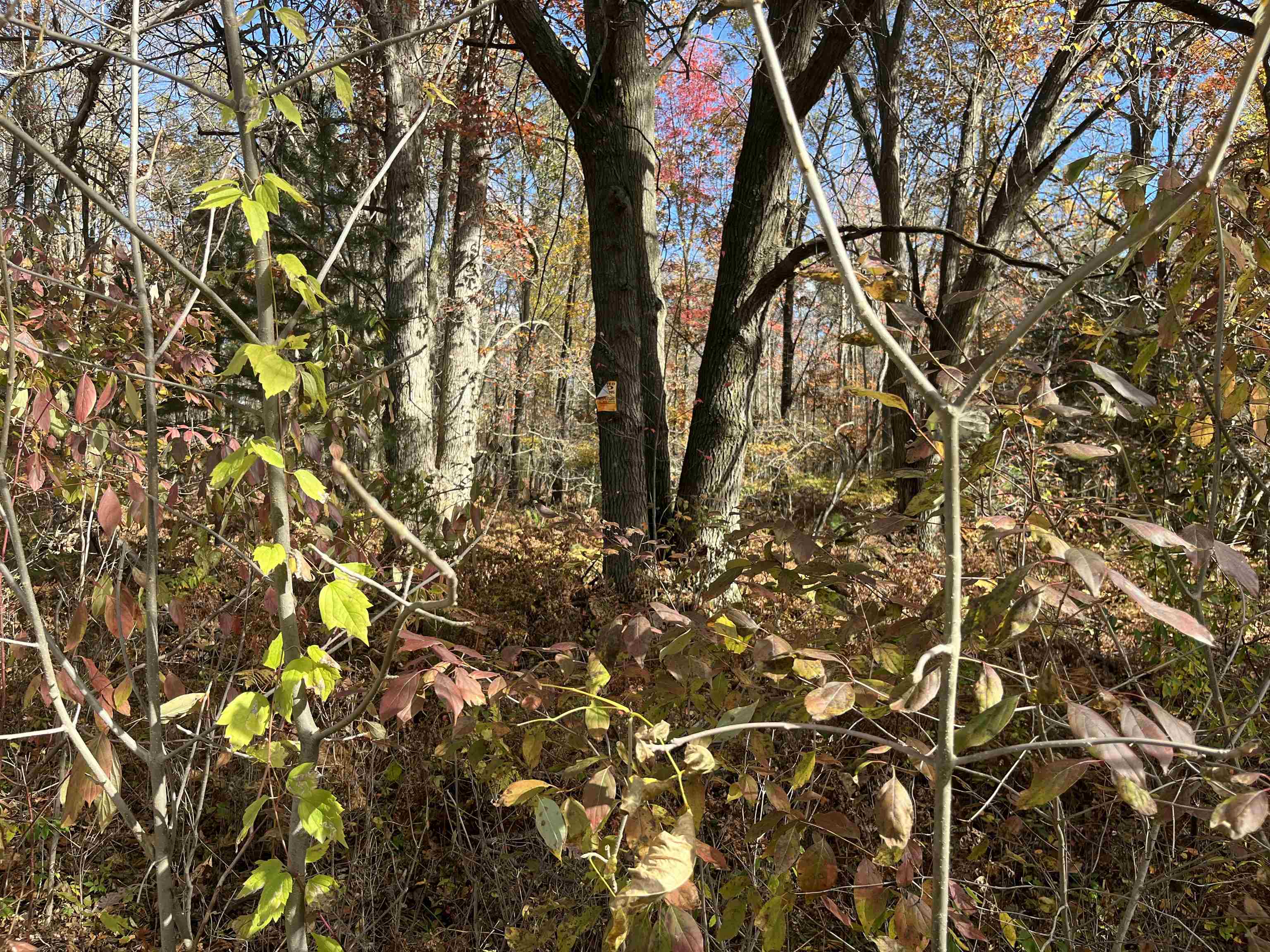 Nka Husak Road Deep River Township MI 48749