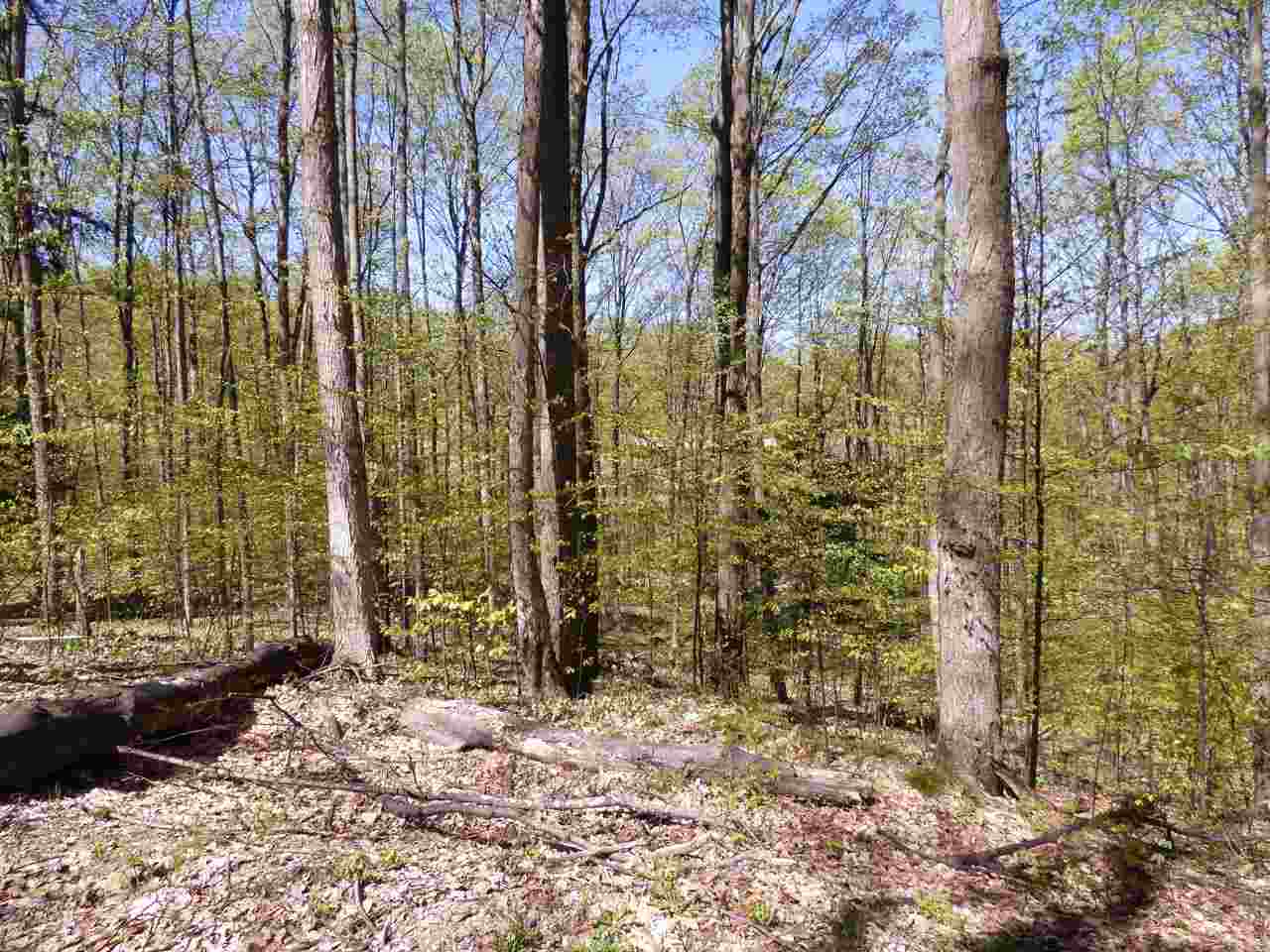 Parcel B Broken Arrow Kearney Township MI 49615