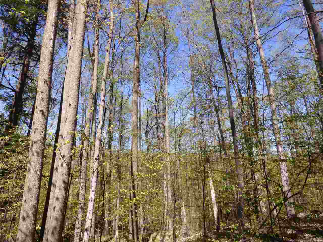 Parcel B Broken Arrow Kearney Township MI 49615