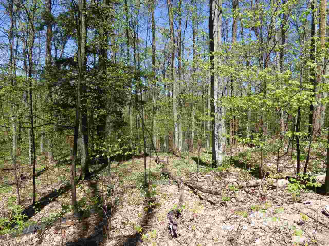 Parcel B Broken Arrow Kearney Township MI 49615