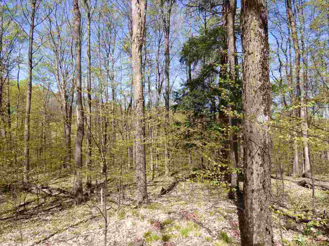 Parcel B Broken Arrow Kearney Township MI 49615