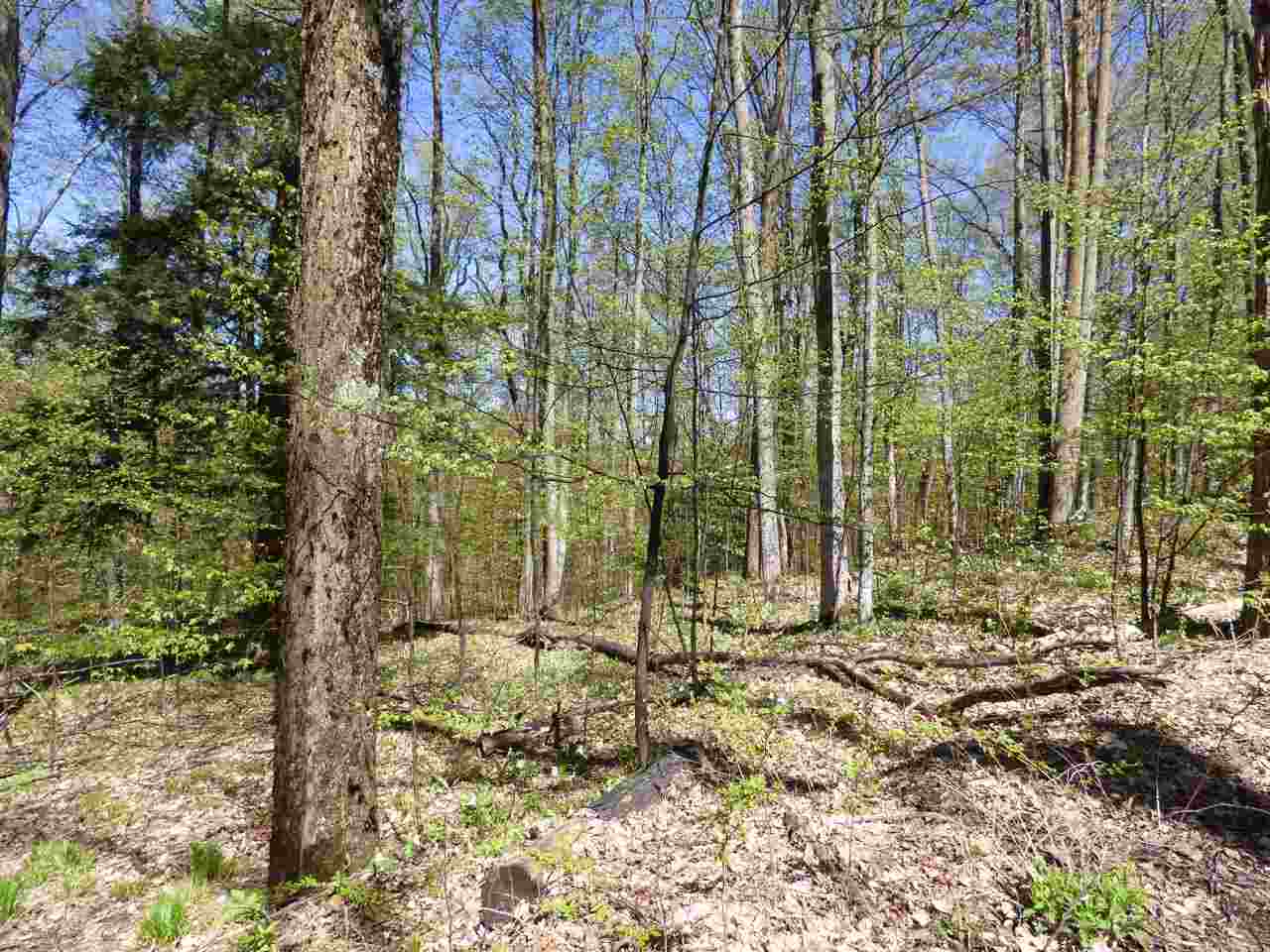 Parcel B Broken Arrow Kearney Township MI 49615