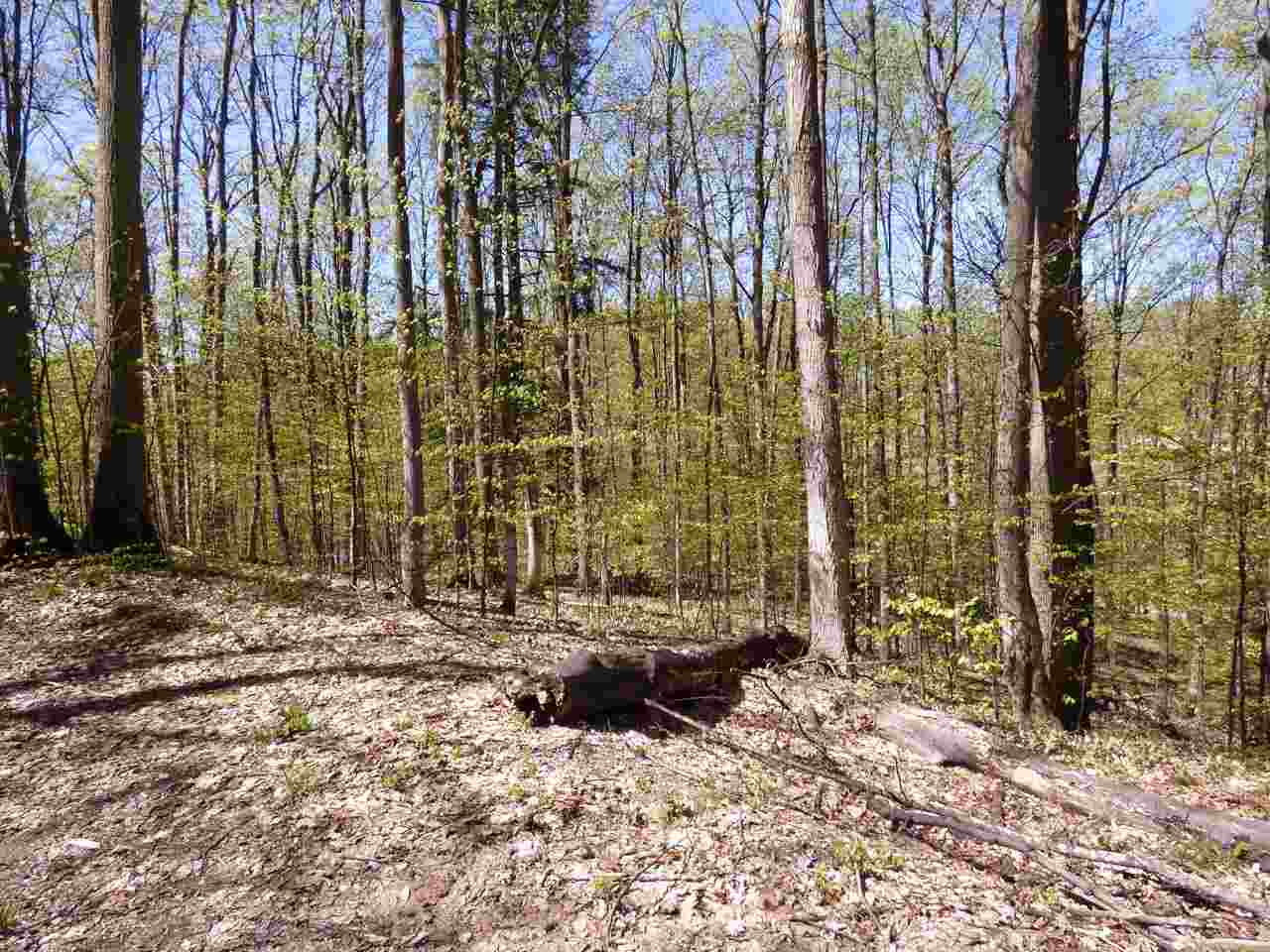 Parcel B Broken Arrow Kearney Township MI 49615