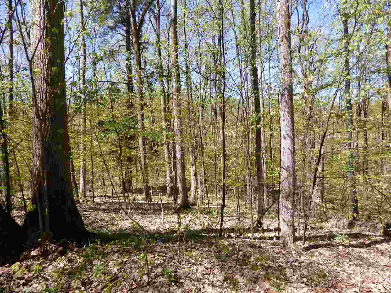 Parcel B Broken Arrow Kearney Township MI 49615