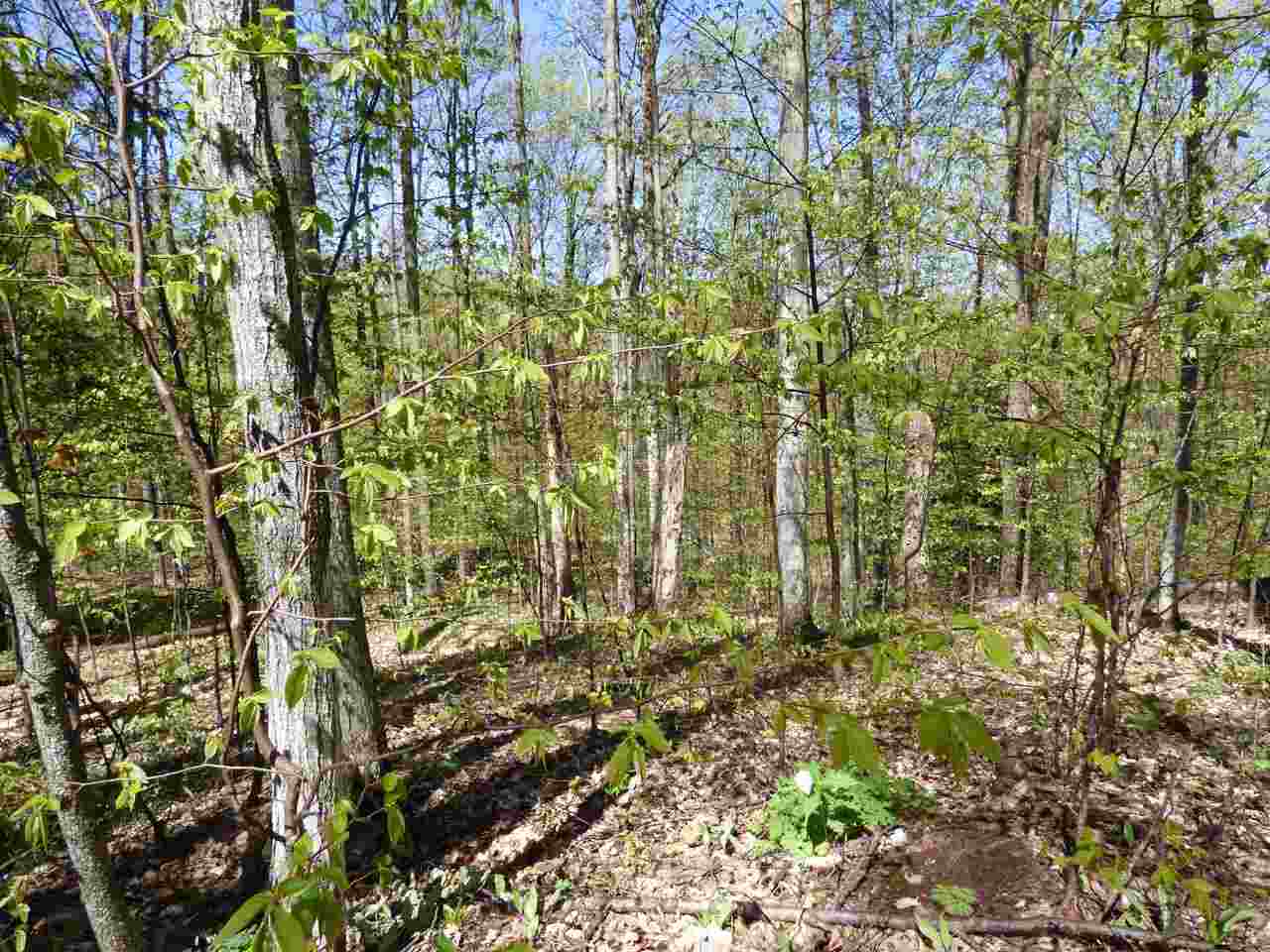 Parcel B Broken Arrow Kearney Township MI 49615