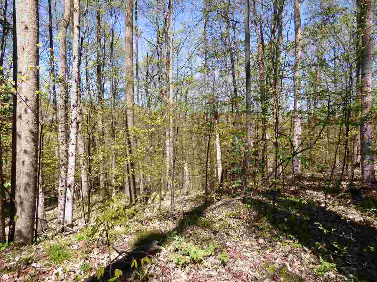 Parcel B Broken Arrow Kearney Township MI 49615