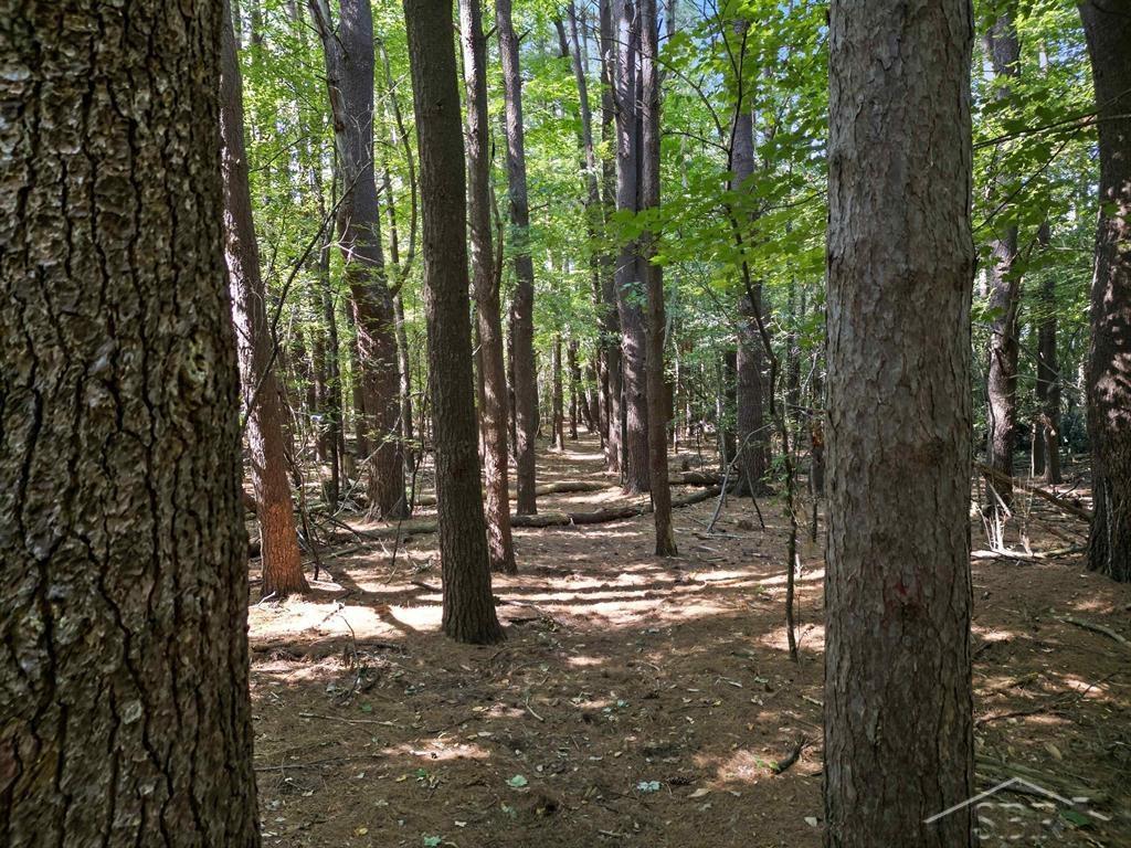 Ville Sandy Ridge Drive Edenville Township MI 48620