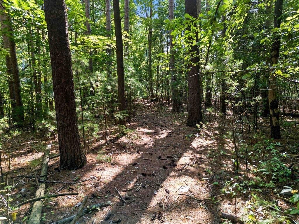 Ville Sandy Ridge Drive Edenville Township MI 48620