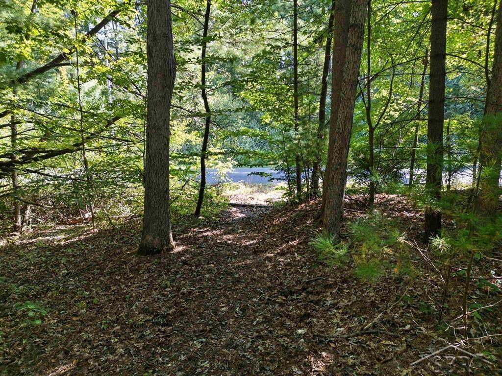 Ville Sandy Ridge Drive Edenville Township MI 48620
