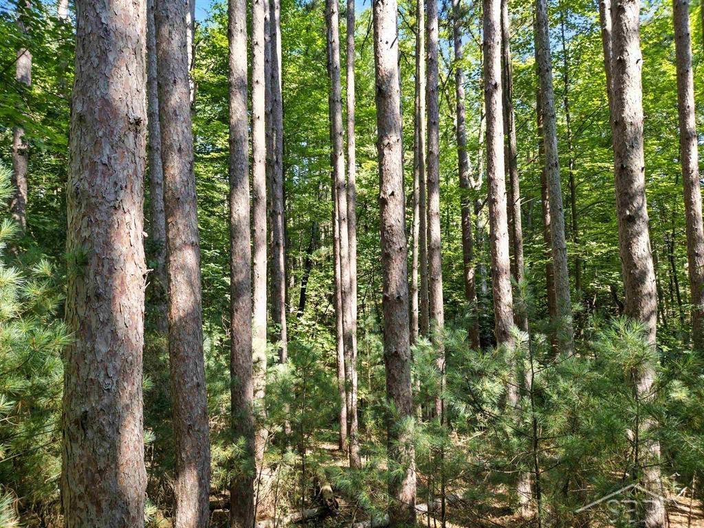 Ville Sandy Ridge Drive Edenville Township MI 48620