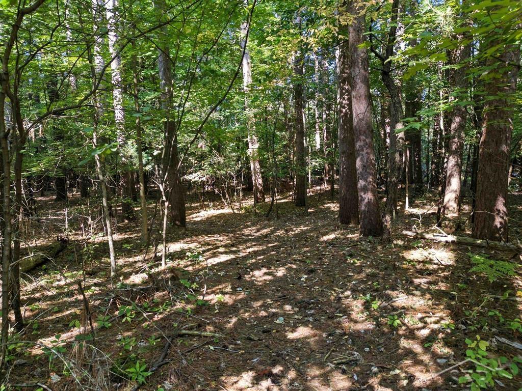 Ville Sandy Ridge Drive Edenville Township MI 48620