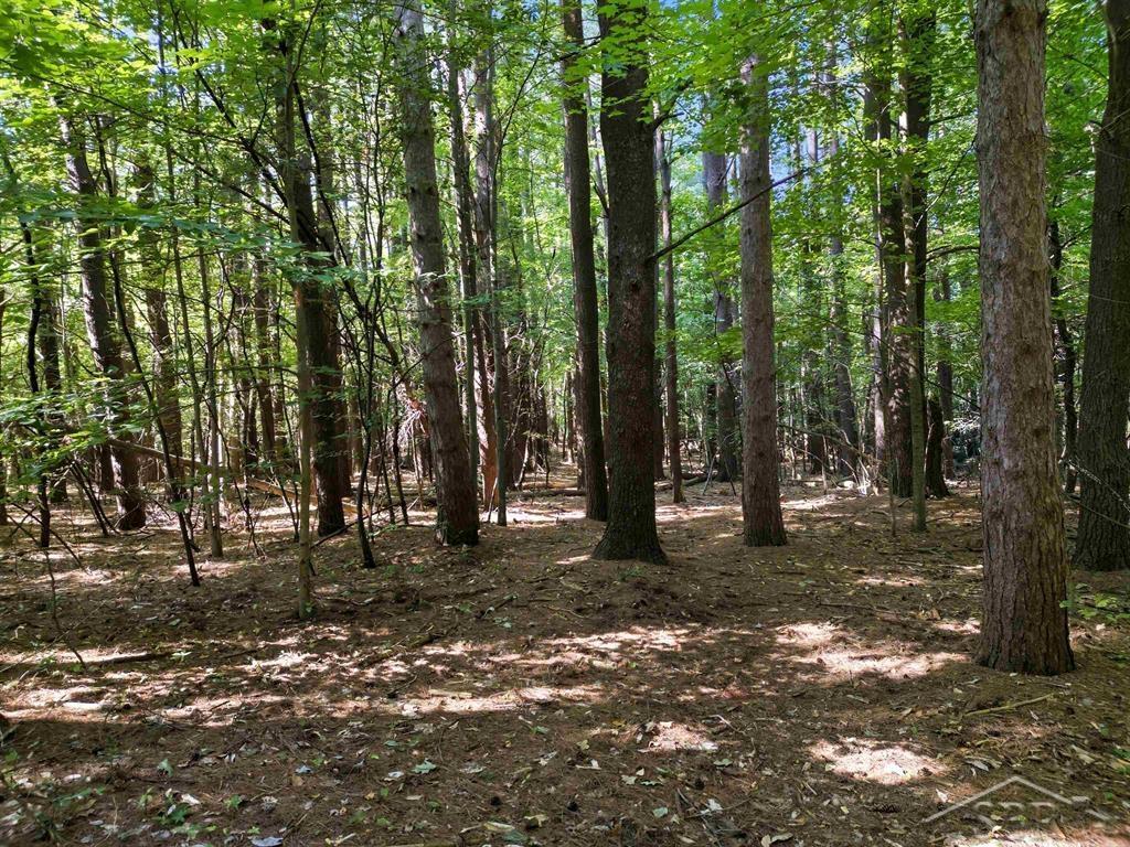 Ville Sandy Ridge Drive Edenville Township MI 48620