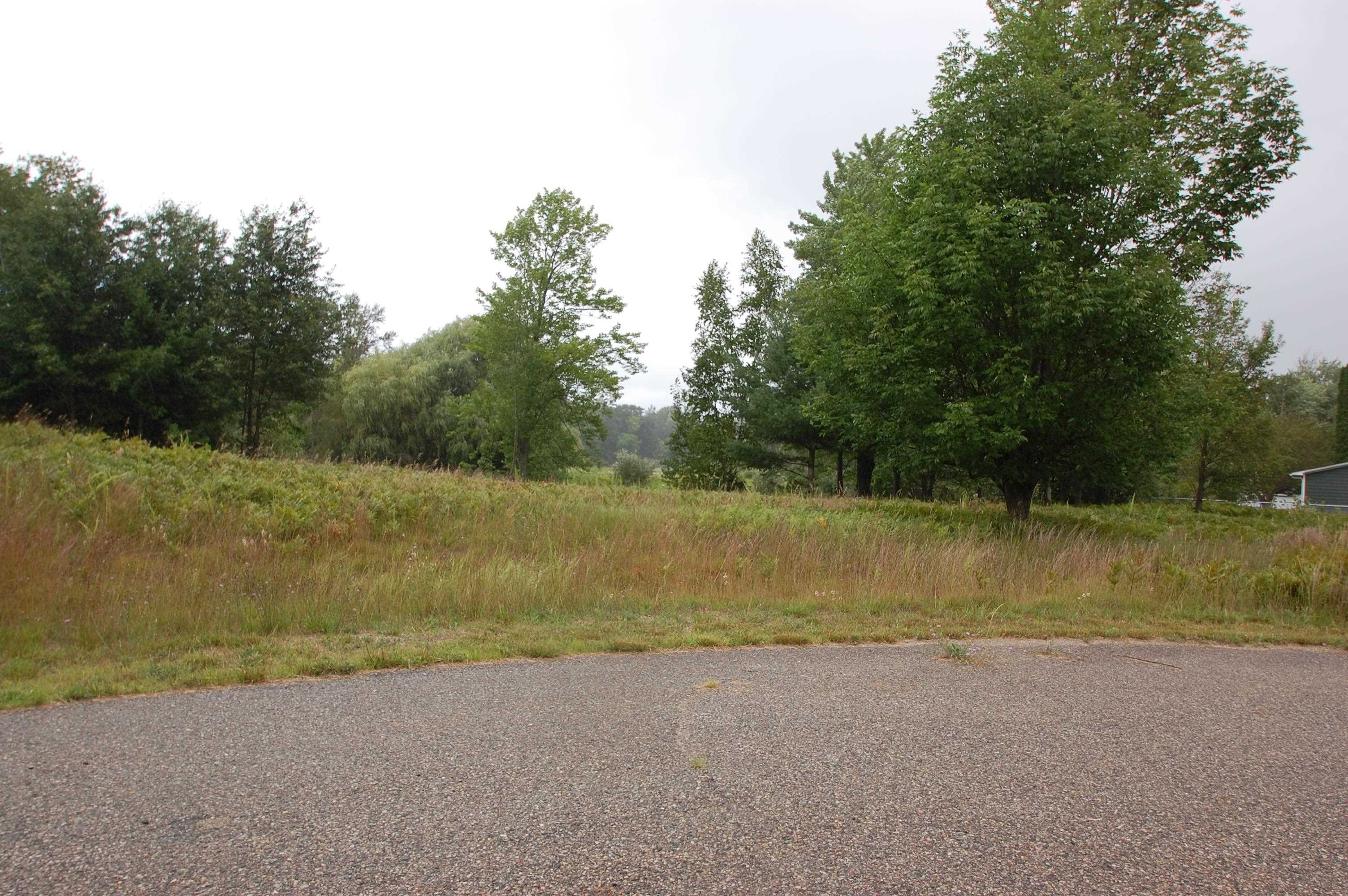 0 Arthur Court West Branch Township MI 48661