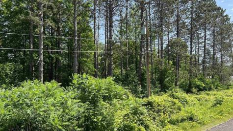 VL W Ingham Road Edenville Township MI 48657