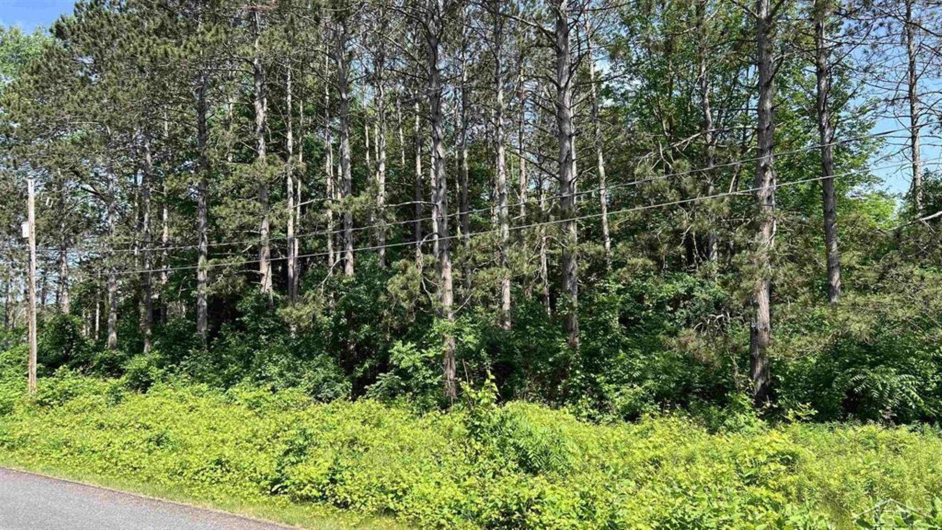 Ville W Ingham Road Edenville Township MI 48657