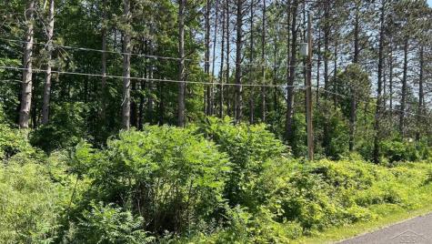 VL W Ingham Road Edenville Township MI 48657