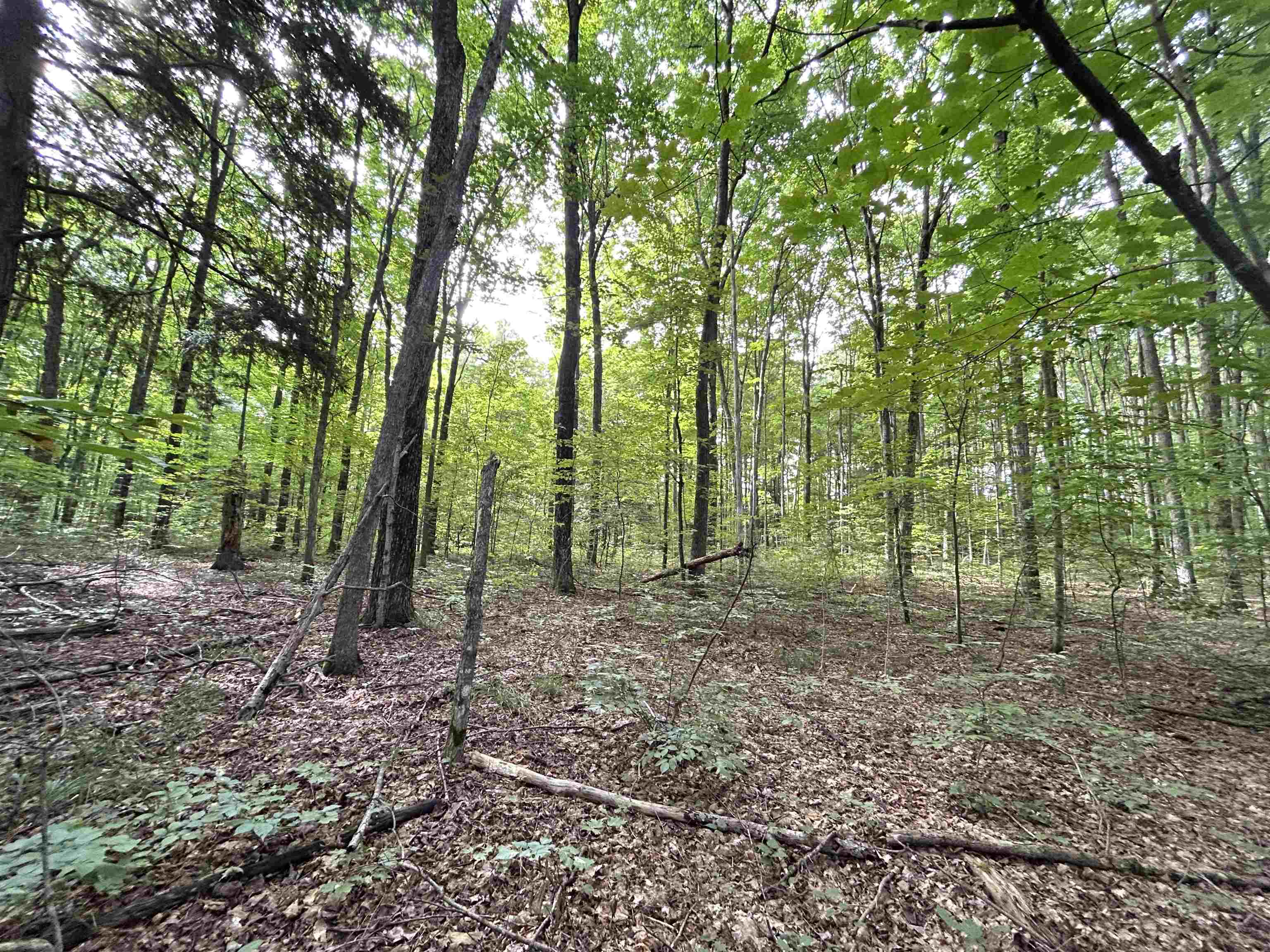 000 Langs Lane Inland Township MI 49643