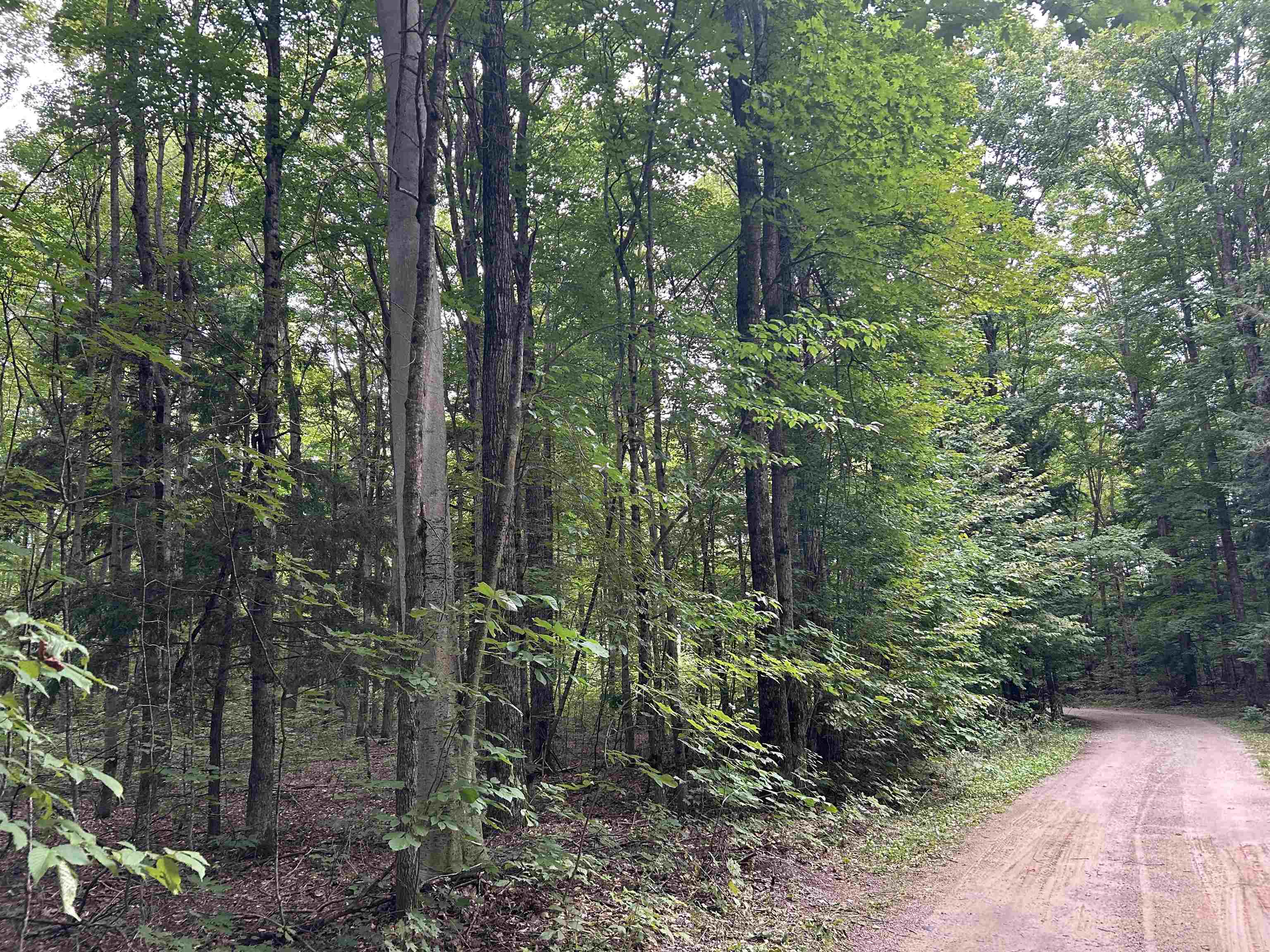 000 Langs Lane Inland Township MI 49643