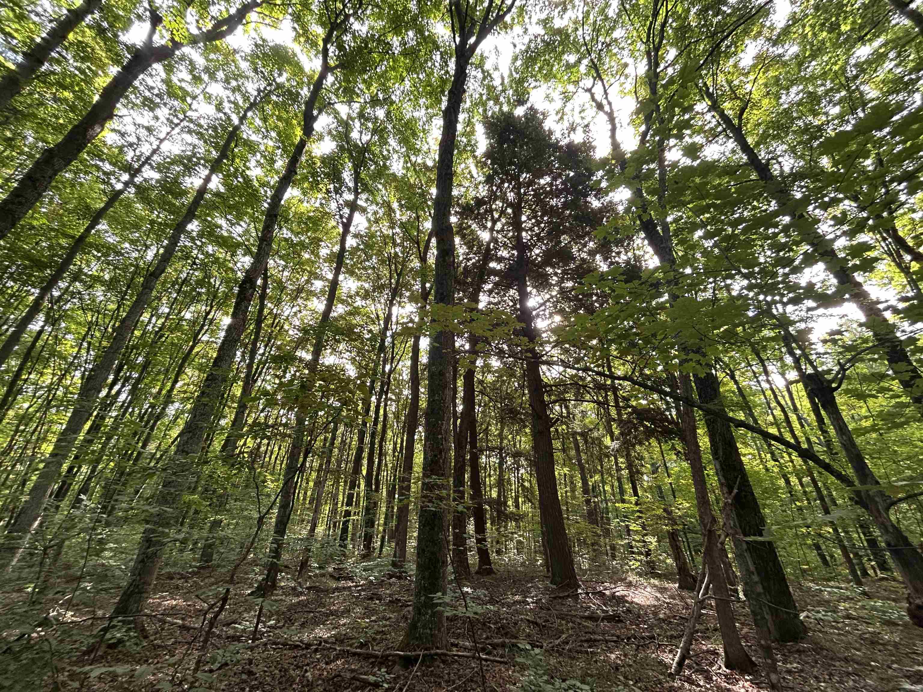000 Langs Lane Inland Township MI 49643