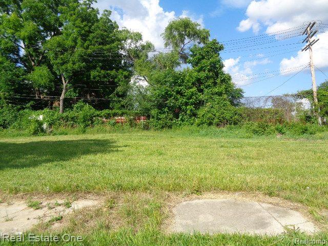 3620 30th Street Detroit City MI 48210