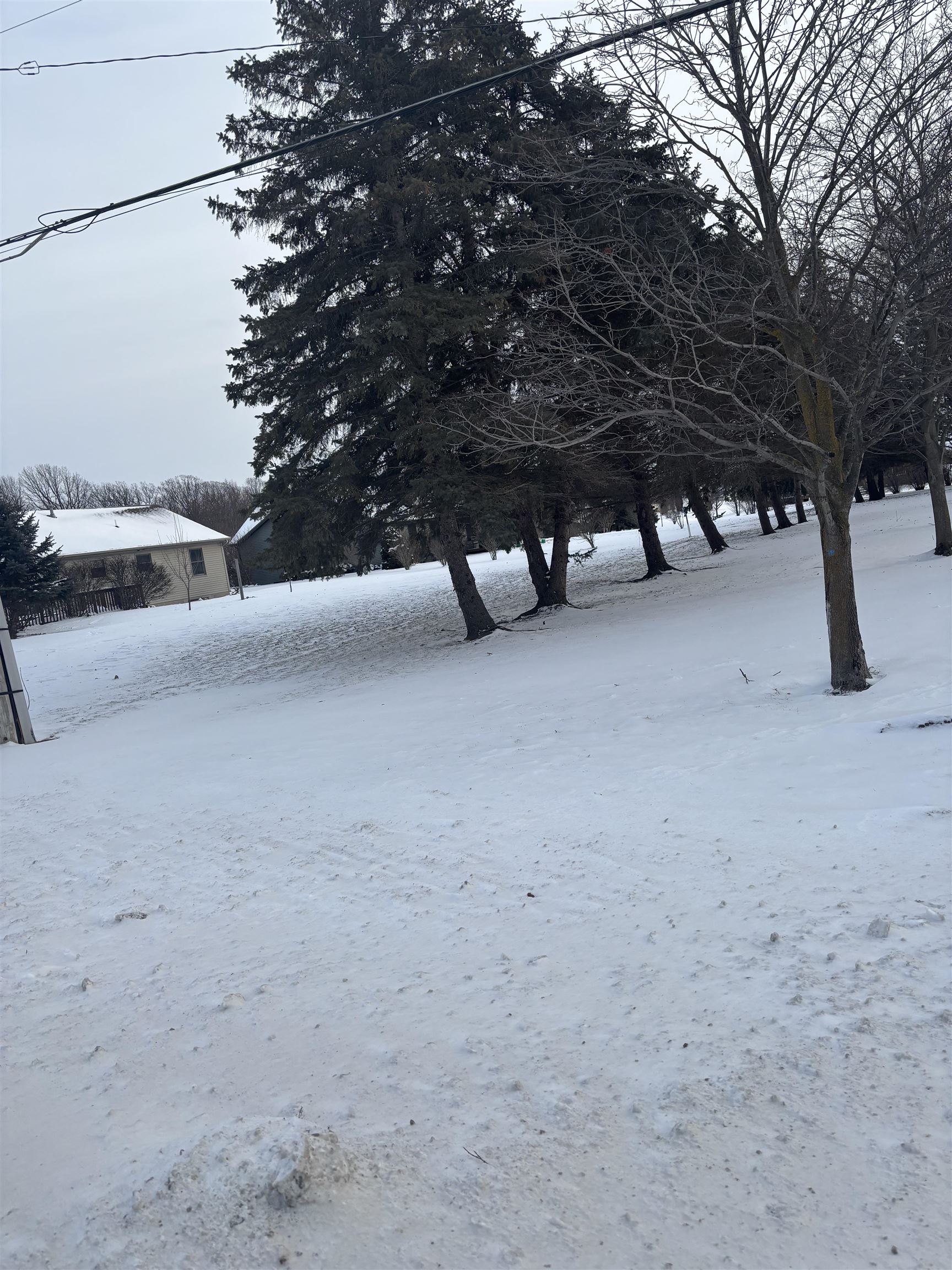 2135 E Pickard Road Union Charter Township MI 48858