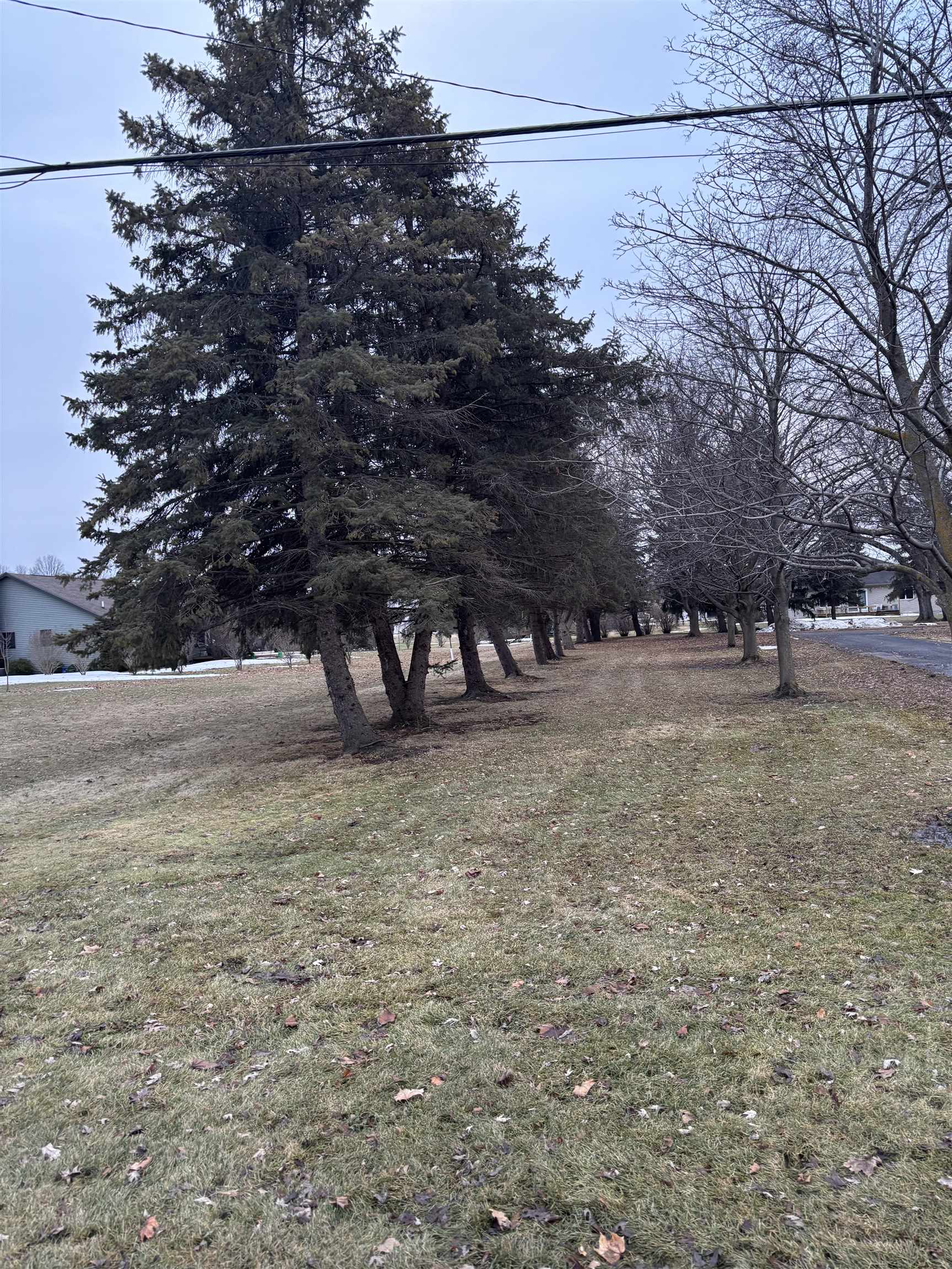 2135 E Pickard Road Union Charter Township MI 48858