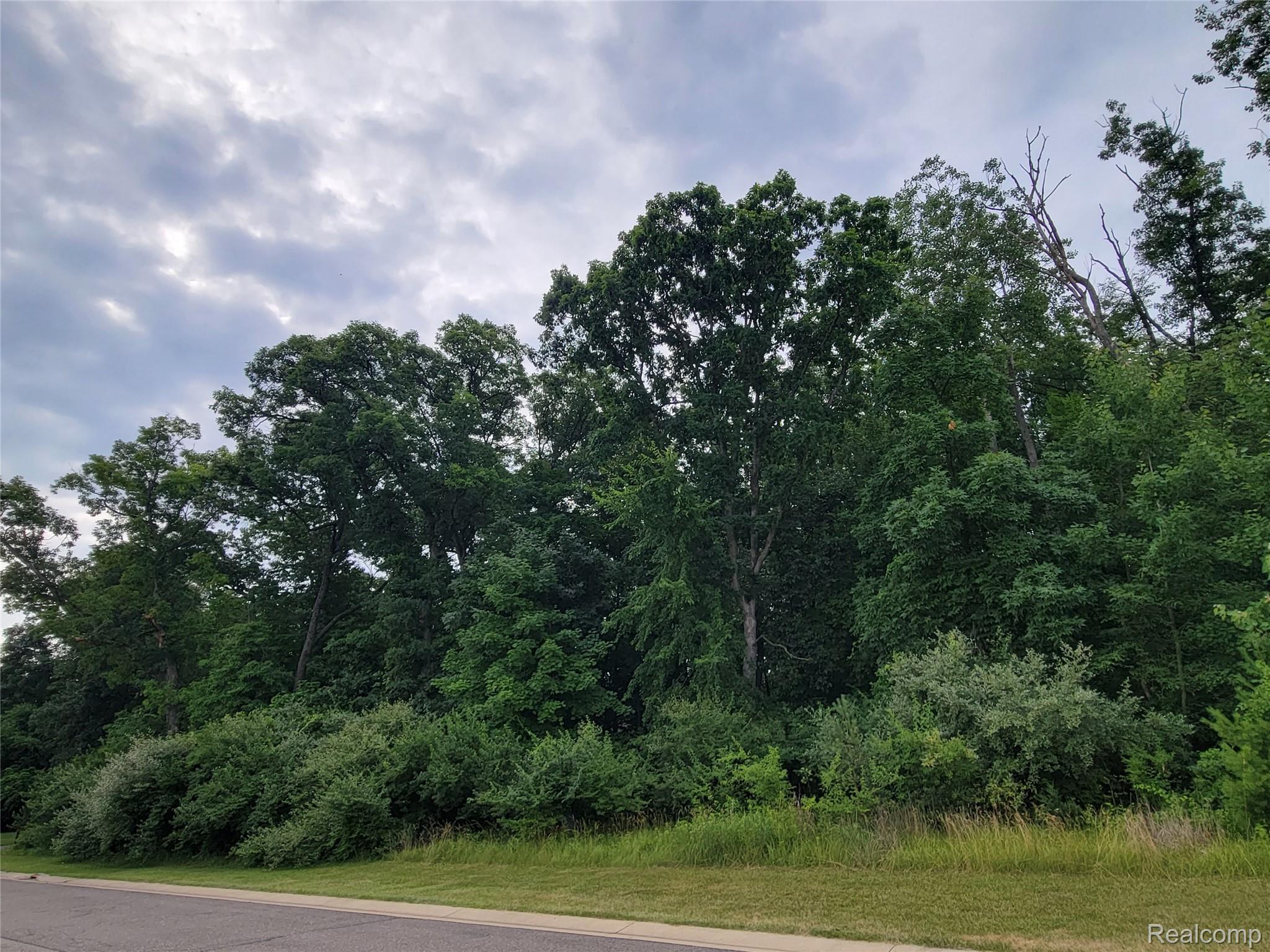 Lot 14 - 5972 Wyndam Lane Hamburg Township MI 48116