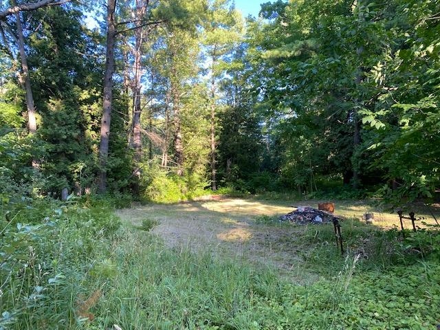 6785 Fouch Road Solon Township MI 49684