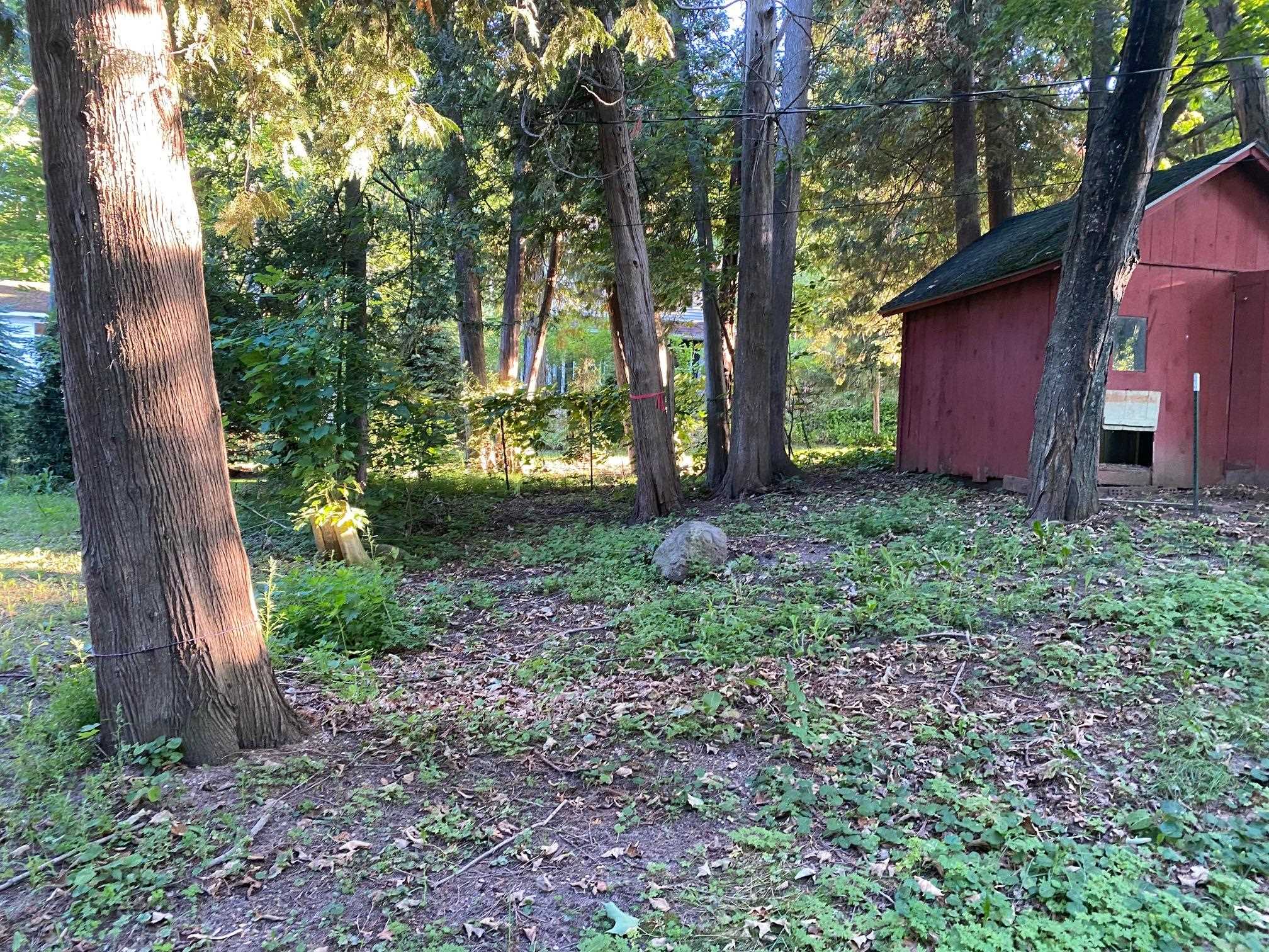 6785 Fouch Road Solon Township MI 49684