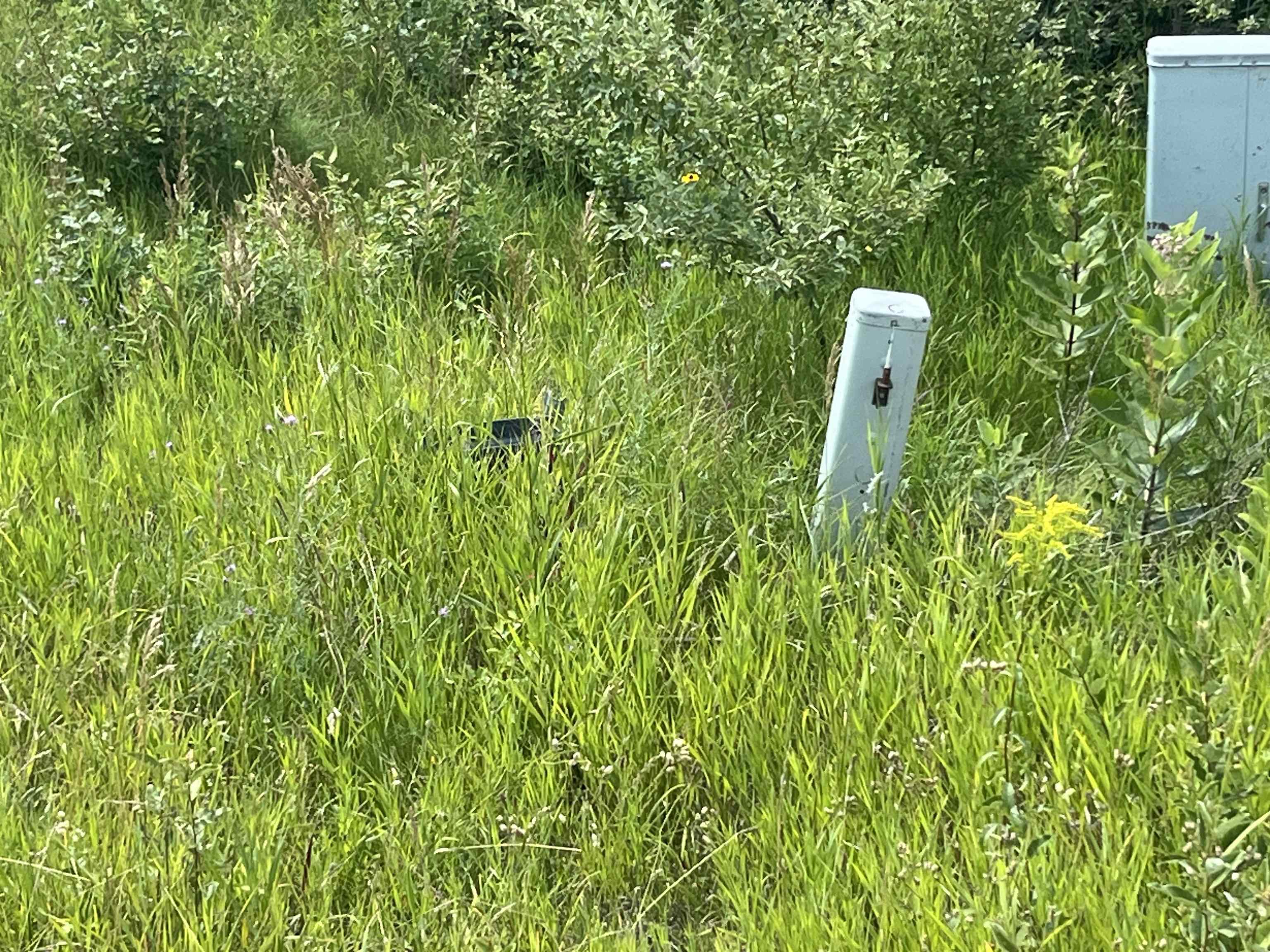 M-72 Whitewater Township MI 49690