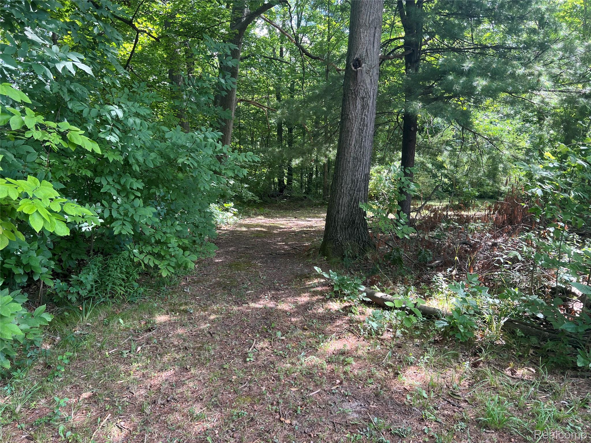 0 Fonda Drive Deerfield Township MI 48421