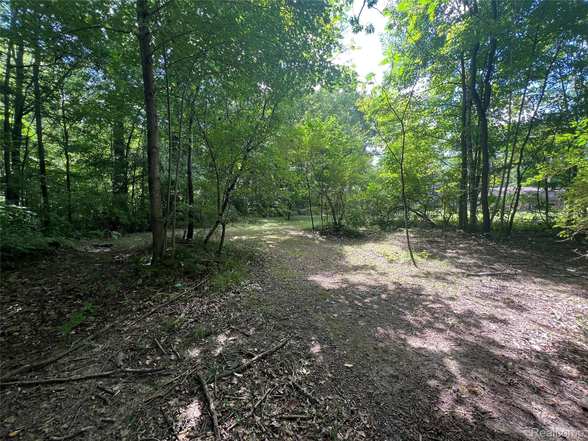 0 Fonda Drive Deerfield Township MI 48421