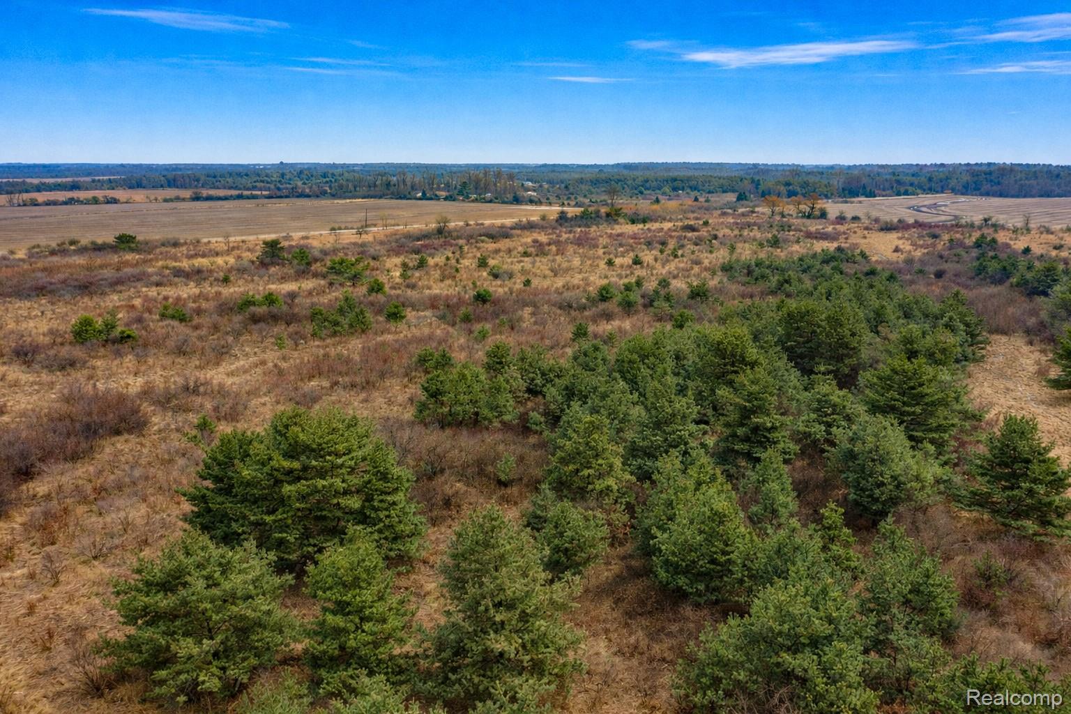 Vacant Land Custer Road Sandusky City MI 48419