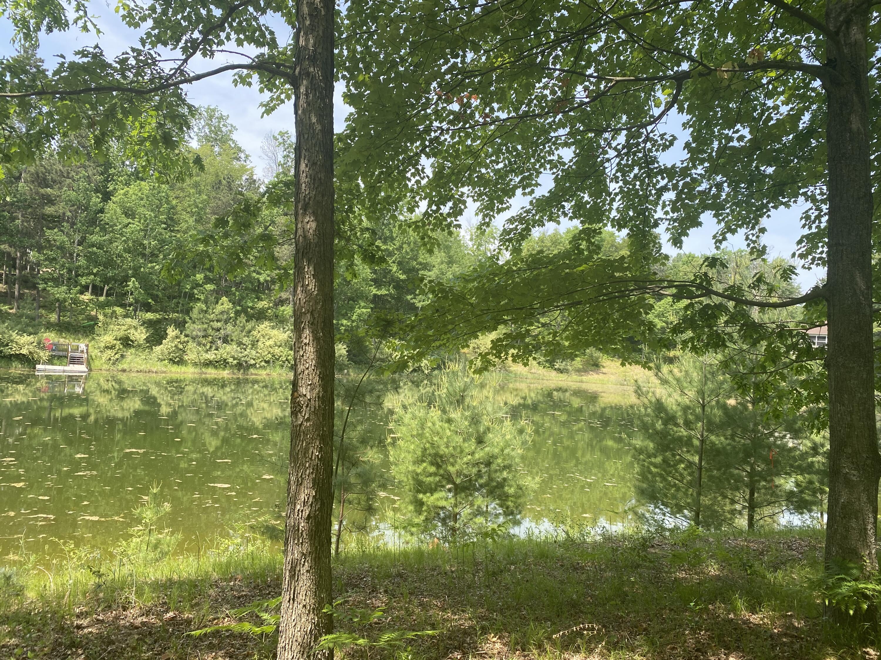 12004 Buchanan Road Austin Township MI 49346