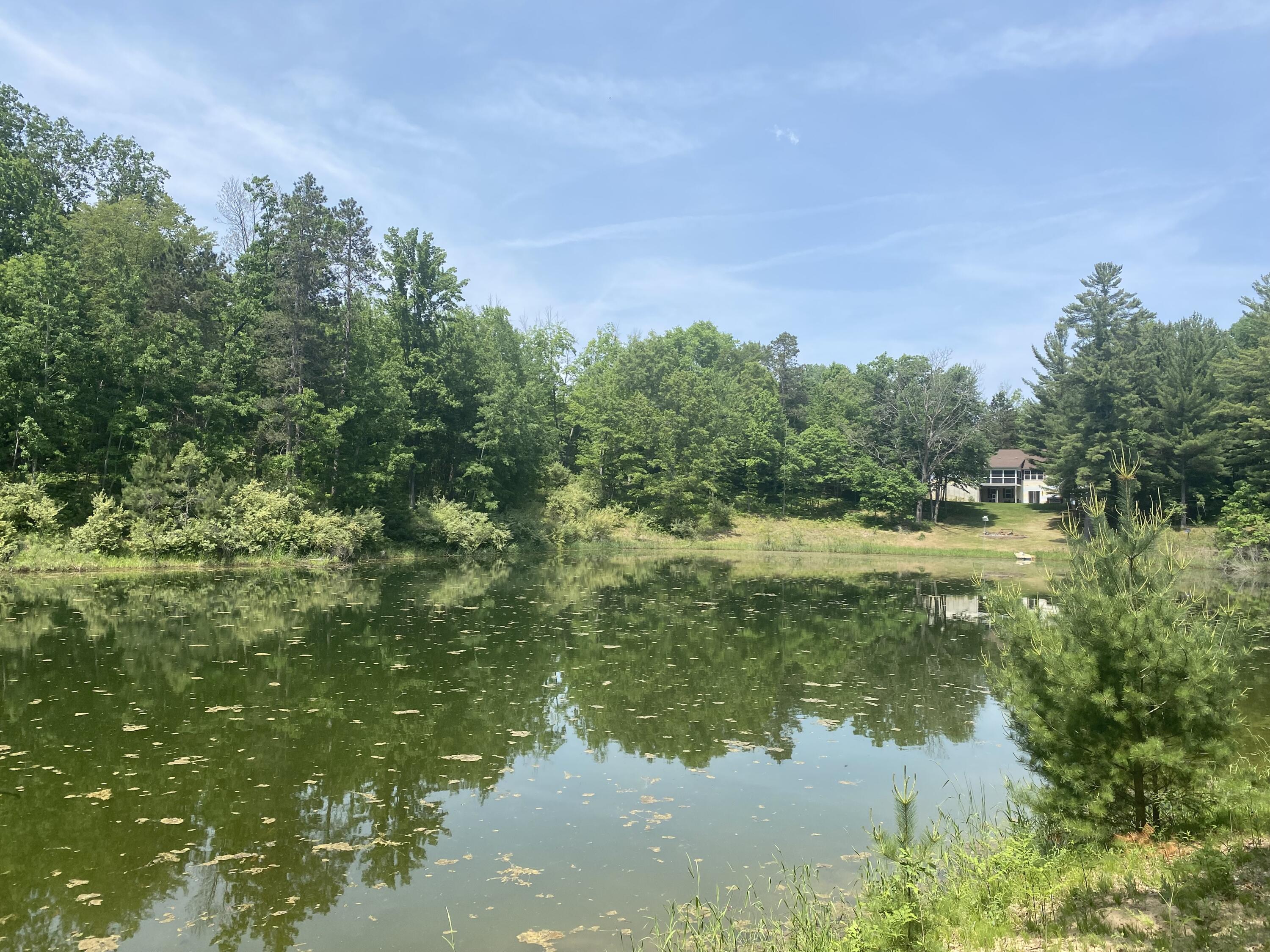 12004 Buchanan Road Austin Township MI 49346