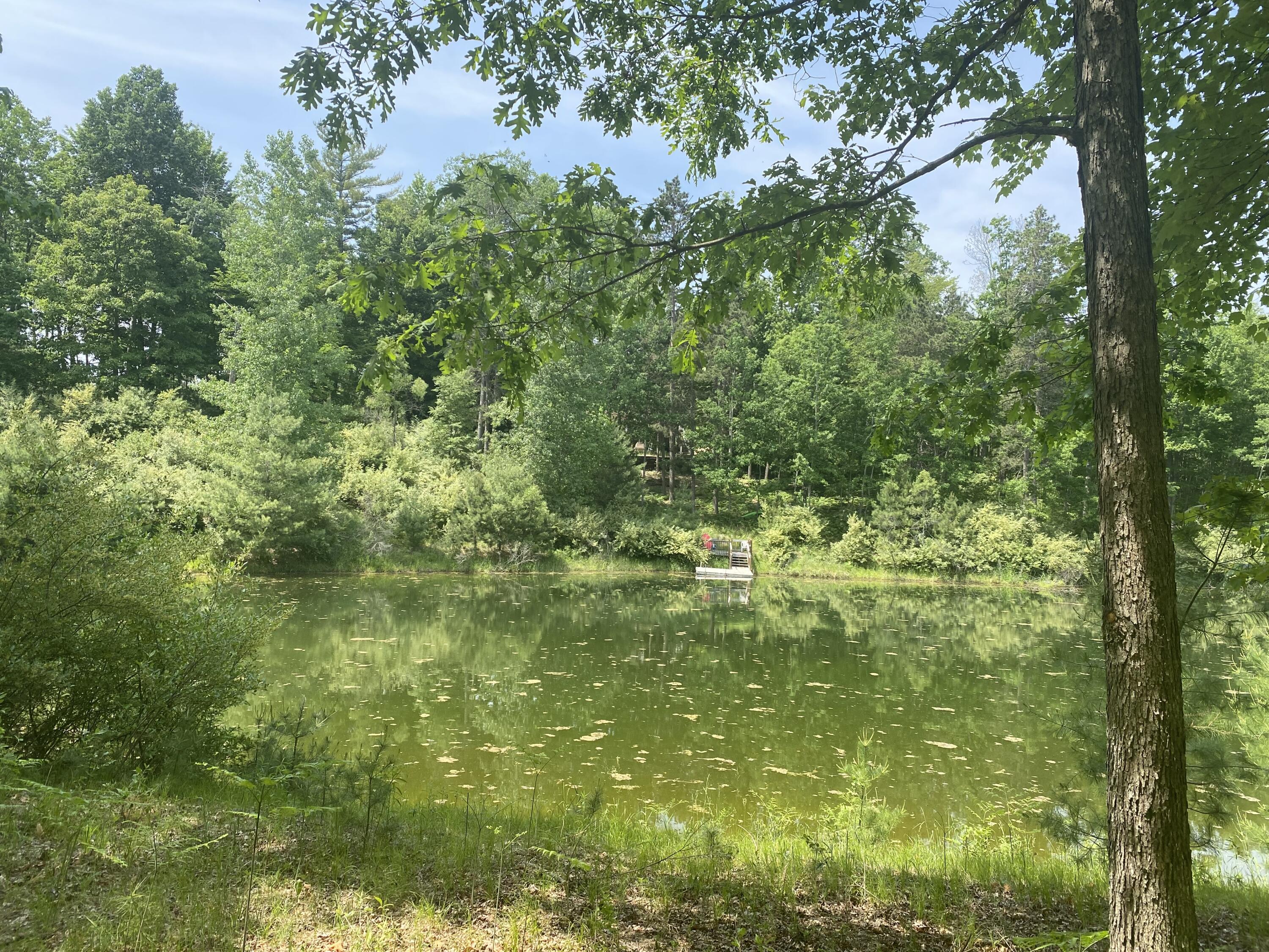 12004 Buchanan Road Austin Township MI 49346