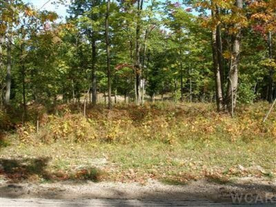 12004 Buchanan Road Austin Township MI 49346