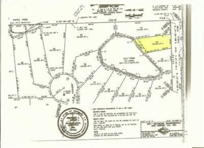 12004 Buchanan Road Austin Township MI 49346