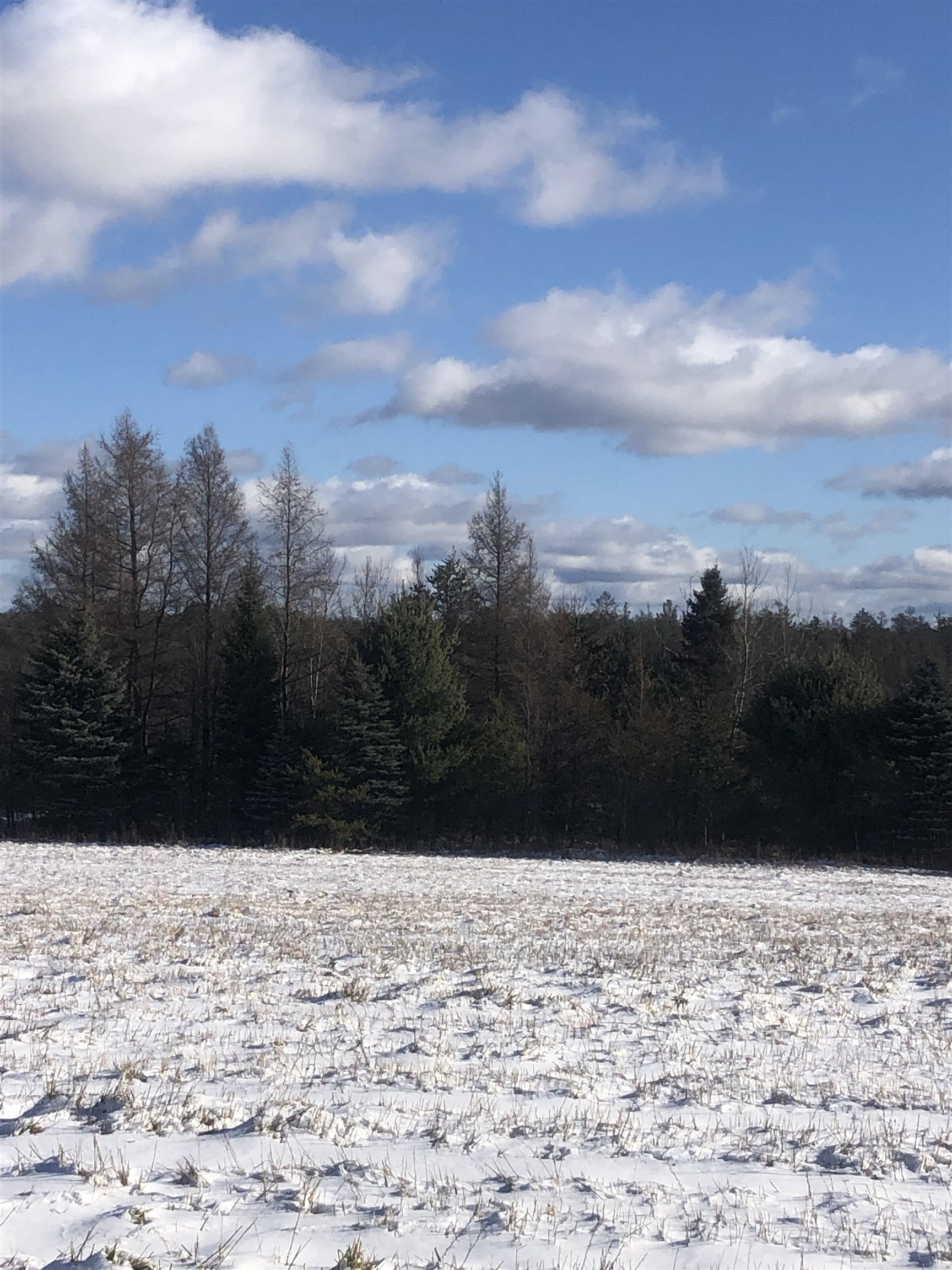 00 M-72 Excelsior Township MI 49646