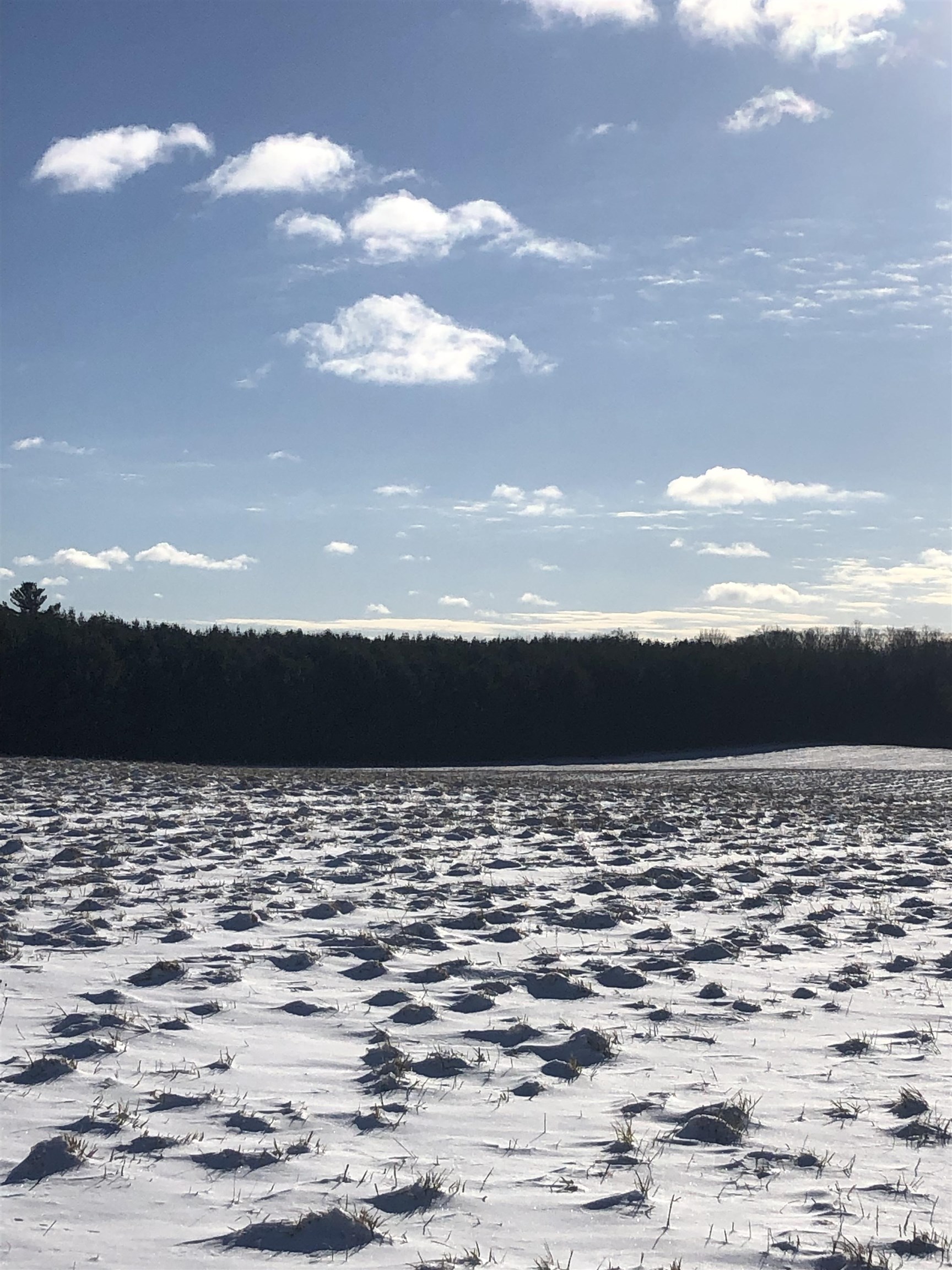 00 M-72 Excelsior Township MI 49646
