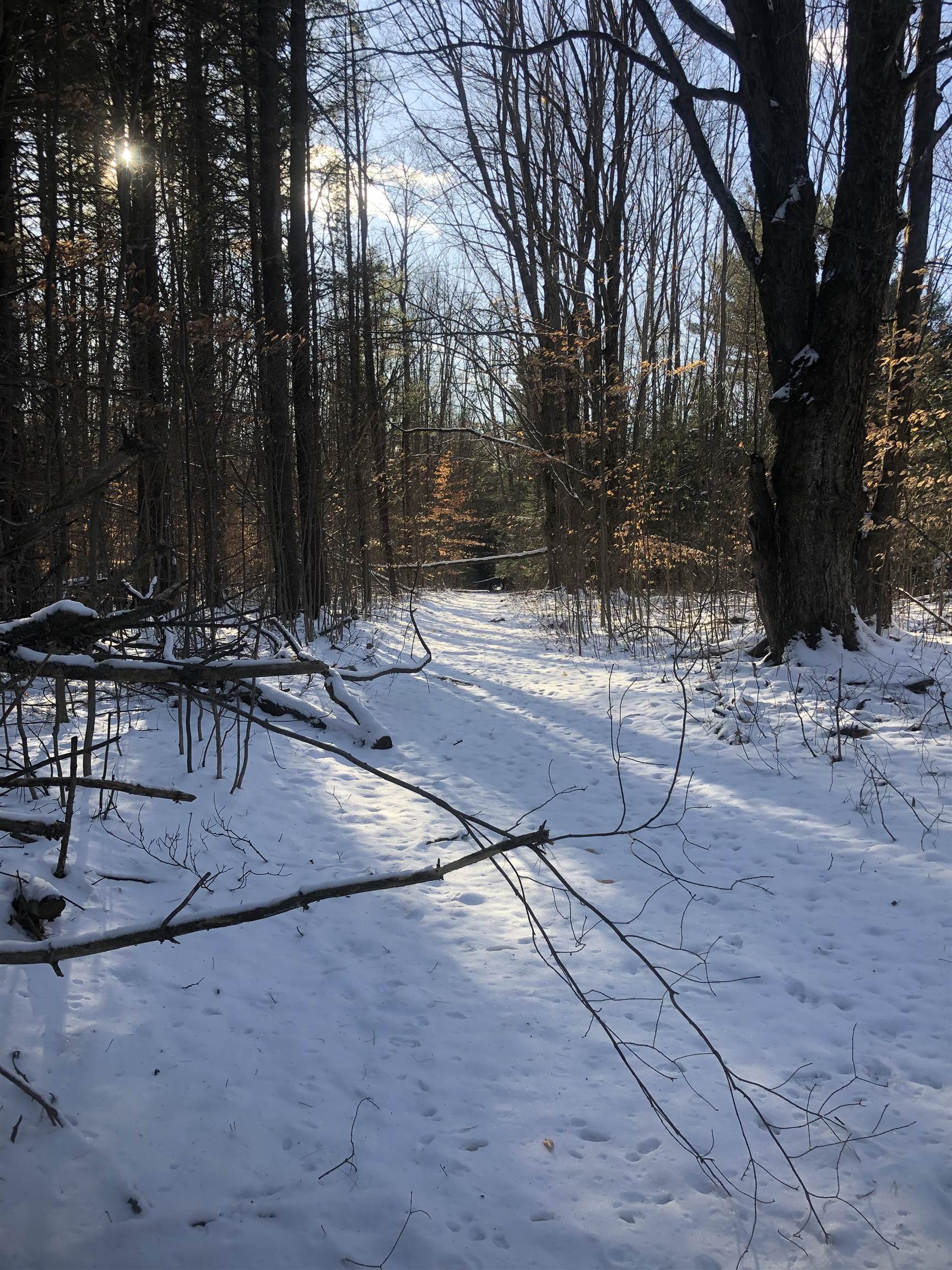 00 M-72 Excelsior Township MI 49646
