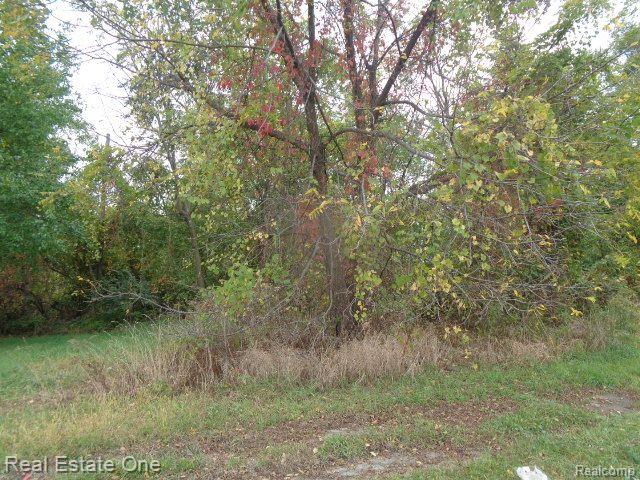 12936 Fielding Street Detroit City MI 48223